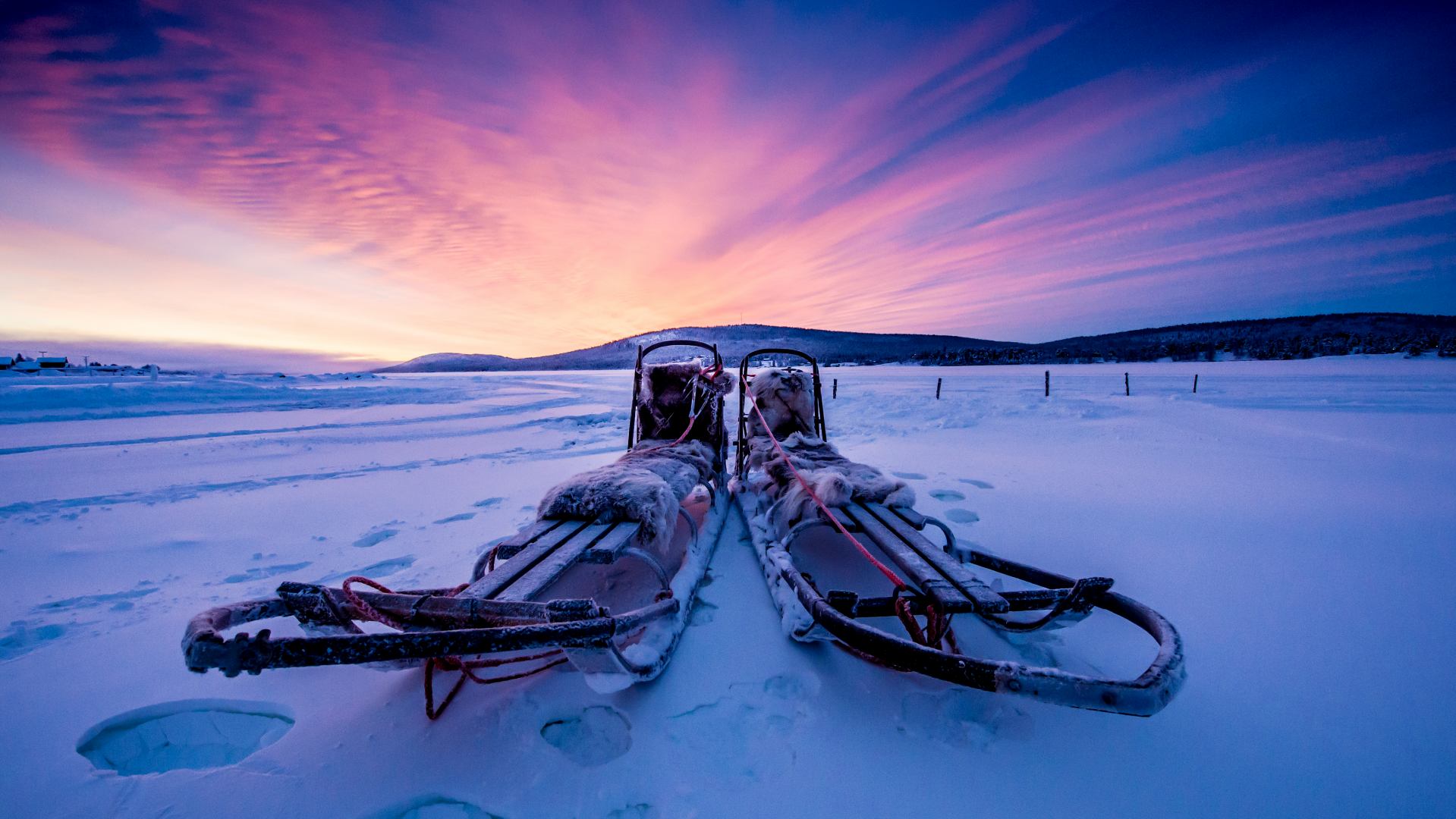 Hundesl&aelig;de i Svensk Lapland Torne River Icehotel