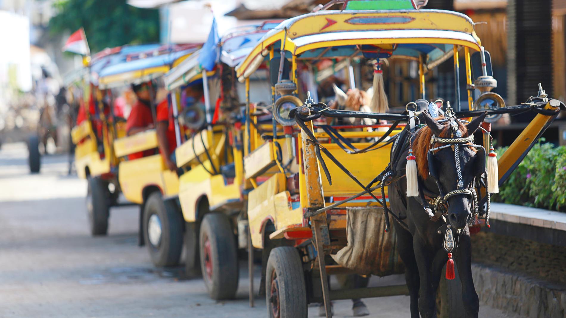Indonesien Gili Trawangan Hotel Vila Ombak, Lokal Transport, Hestevogn