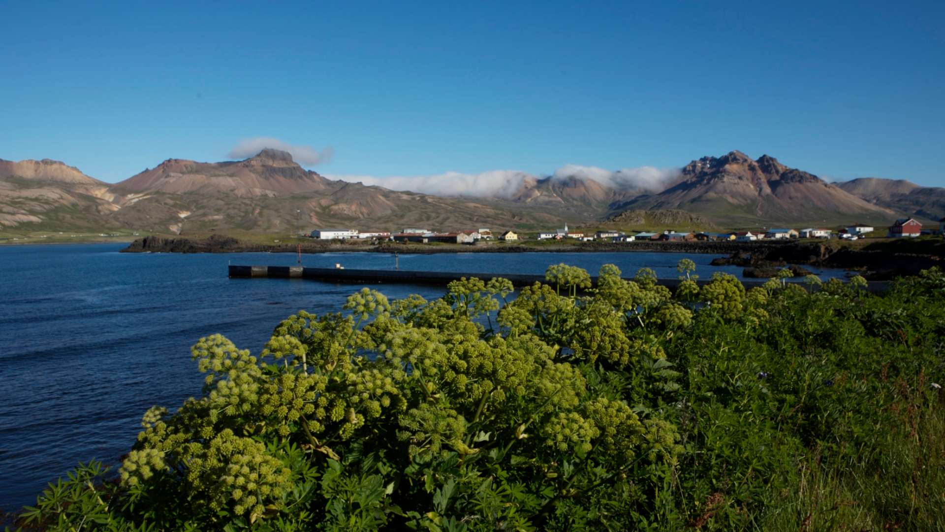 Rejser til Island, Borgarfirdi Eystra, Oestisland Hotel Alfheimar, Alfheimar city