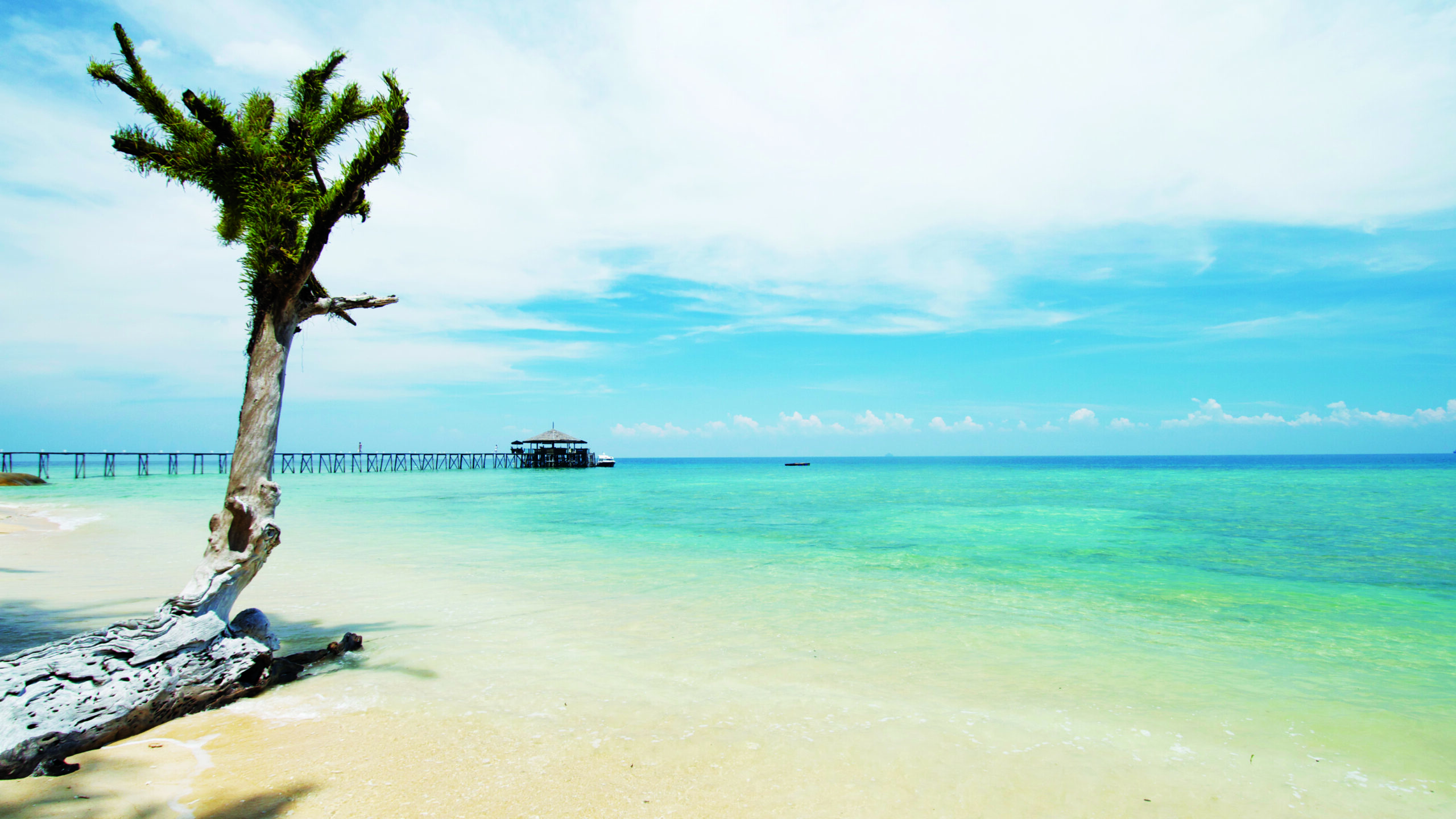 malaysia-tioman-island-jamala-resort-boutique-hotel-private-beach