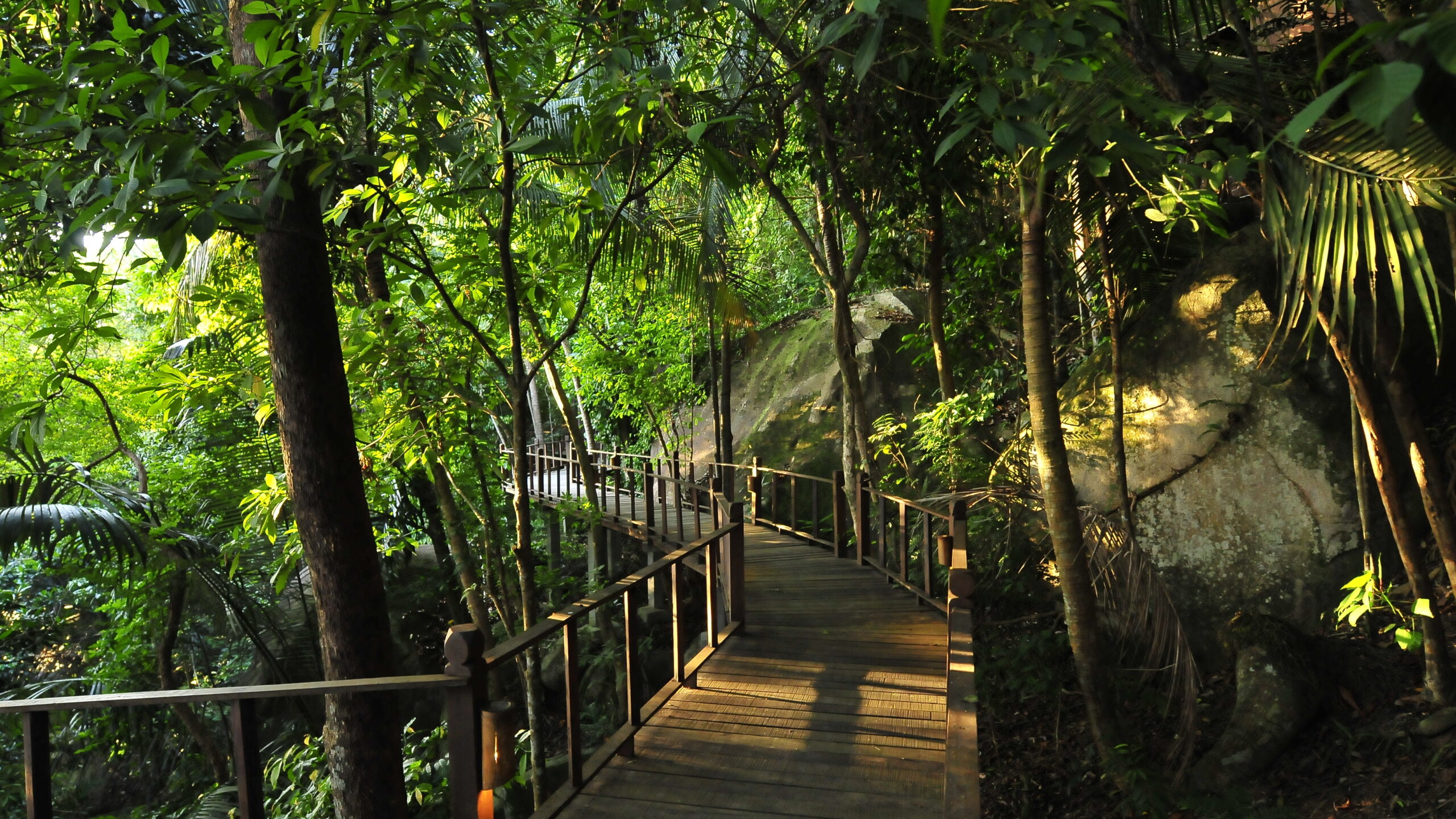 malaysia-tioman-island-jamala-resort-boutique-hotel-jungle-nature-walkway