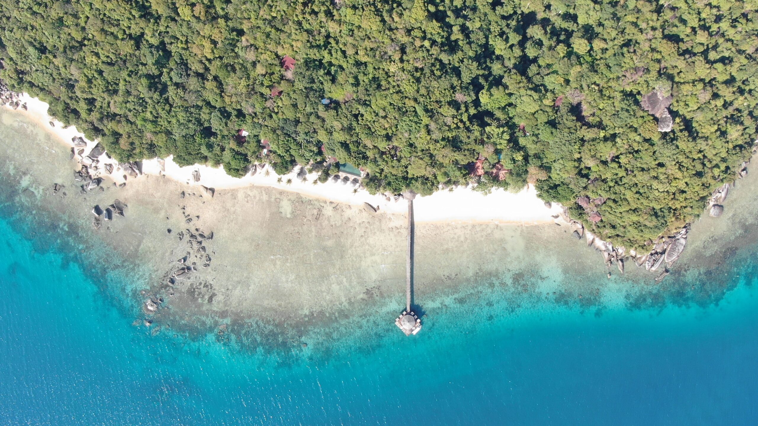 malaysia-tioman-island-jamala-resort-strand-i-fugleperspektiv