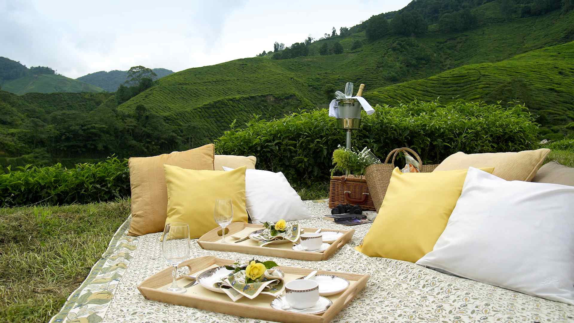 Malaysia cameron highlands cameron highlands picnic resort