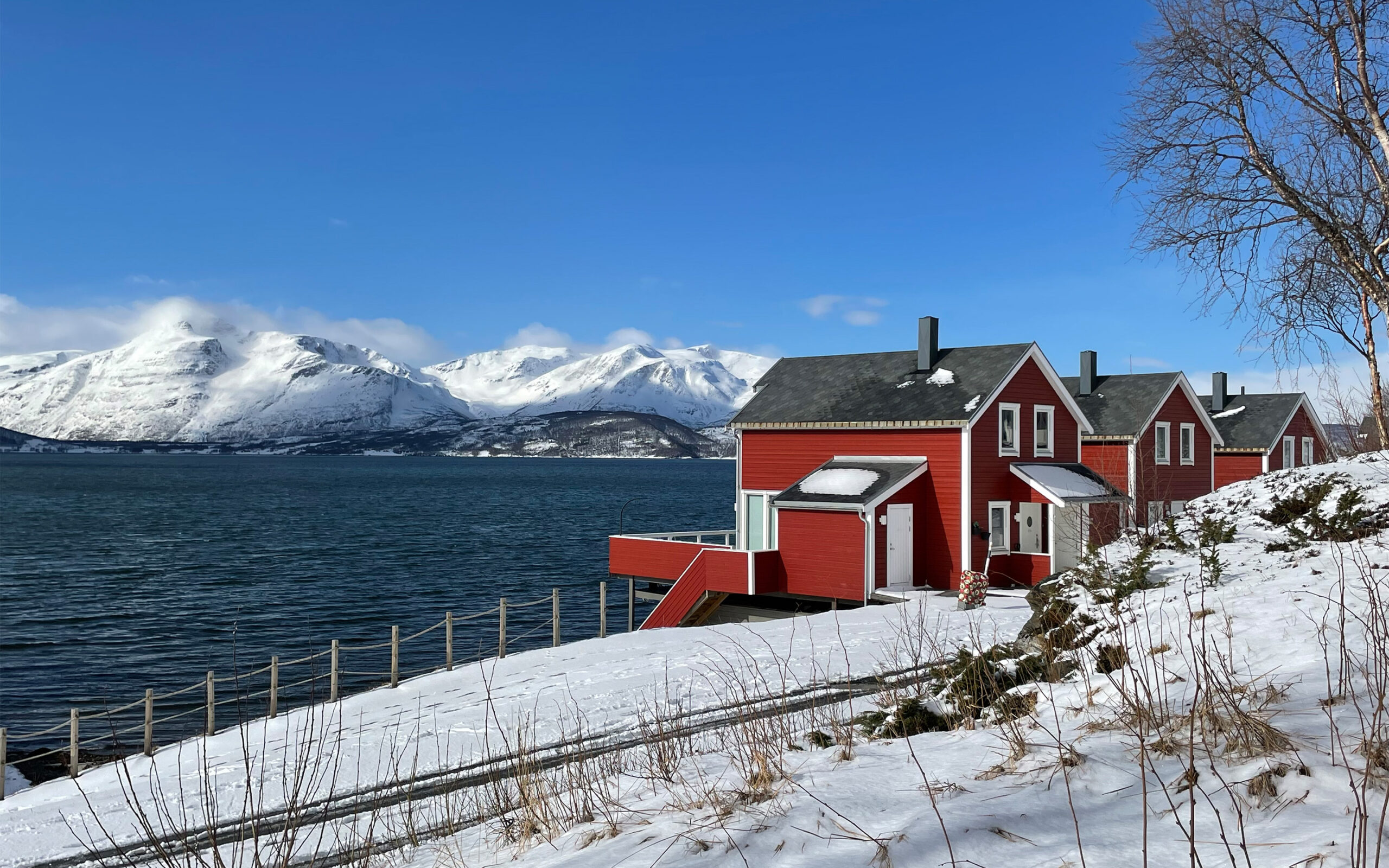 Norge Malangen Resort Waterfront Standard Cabins
