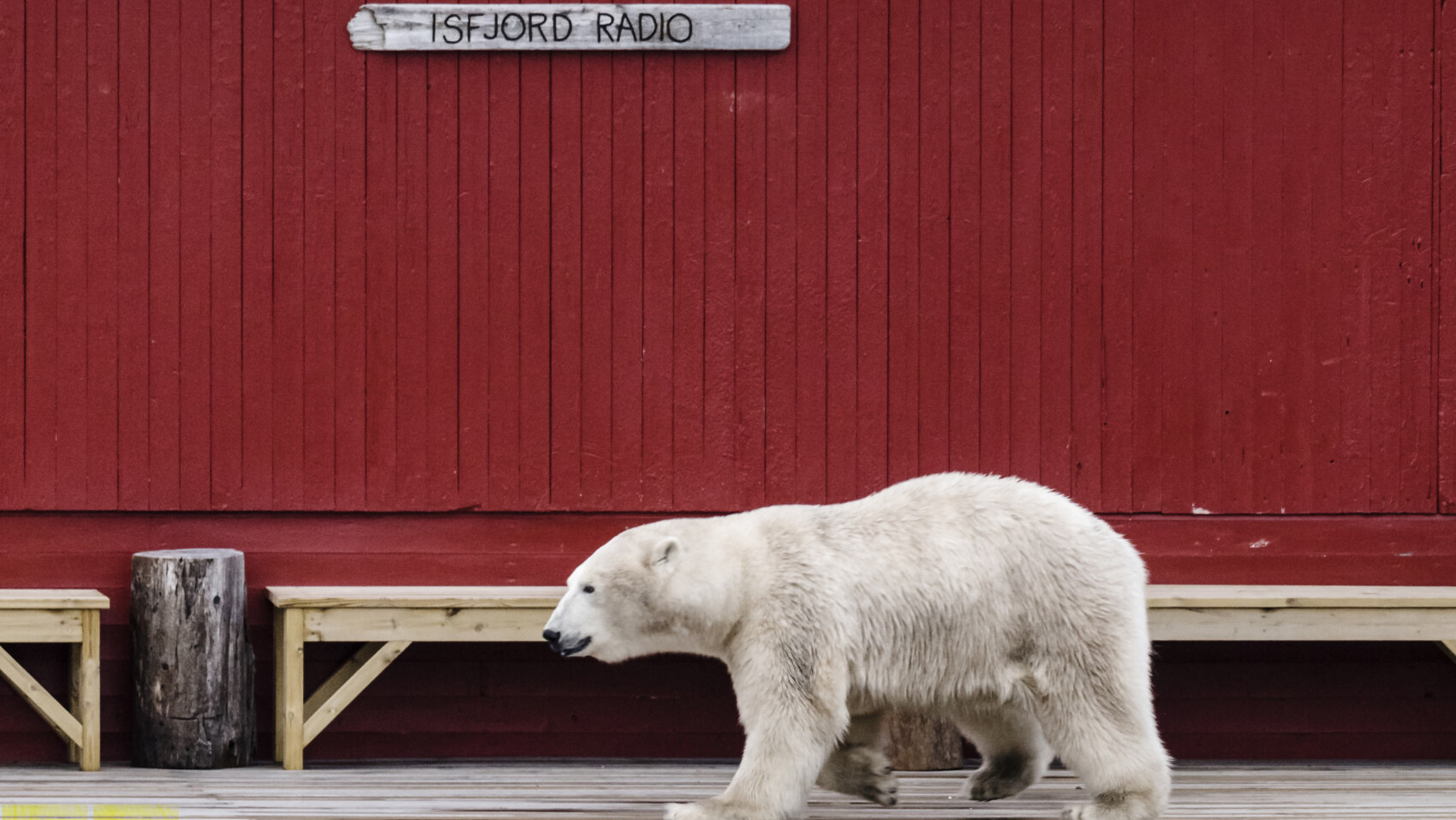 Norge svalbard basecamp explorer isfjord radio jakob dall