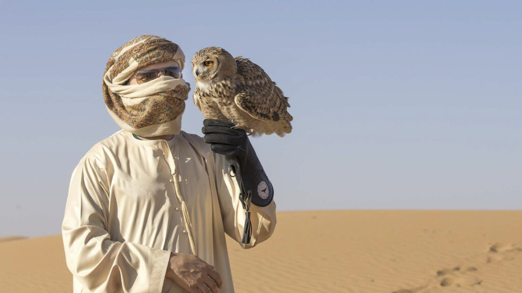 Dubai Falke Træner, Beduin