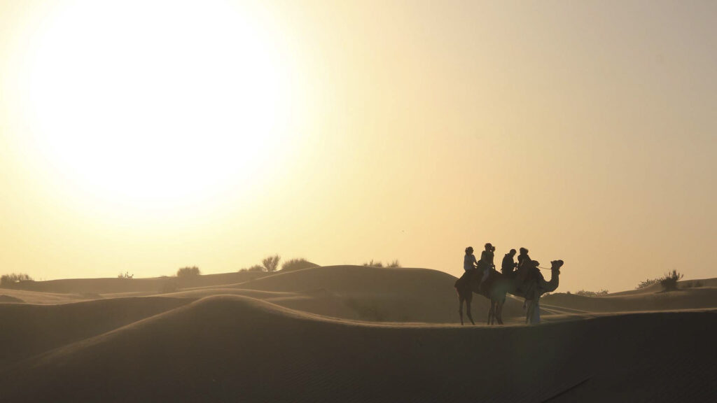 Dubai Ørken Kameler, Beduiner
