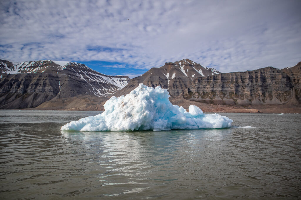 Glacier Safari to Tempelfjorden and Tunabreen