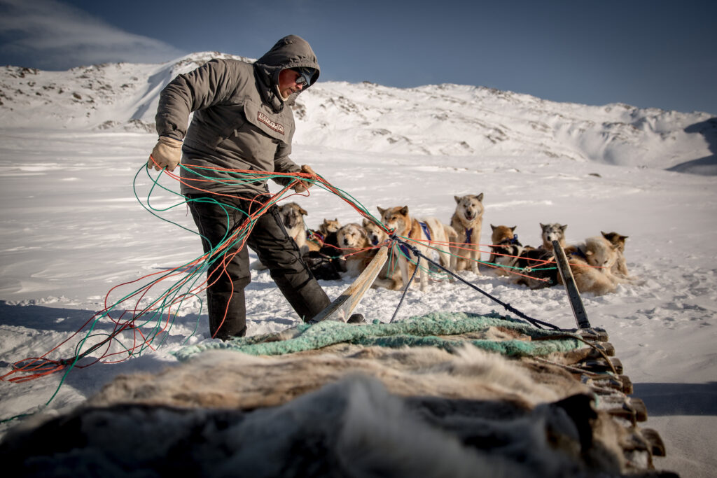 Grønland Ilulissat, Diskobugten, Slædehunde, Slædetur, Sne, Natur, Slædekusk