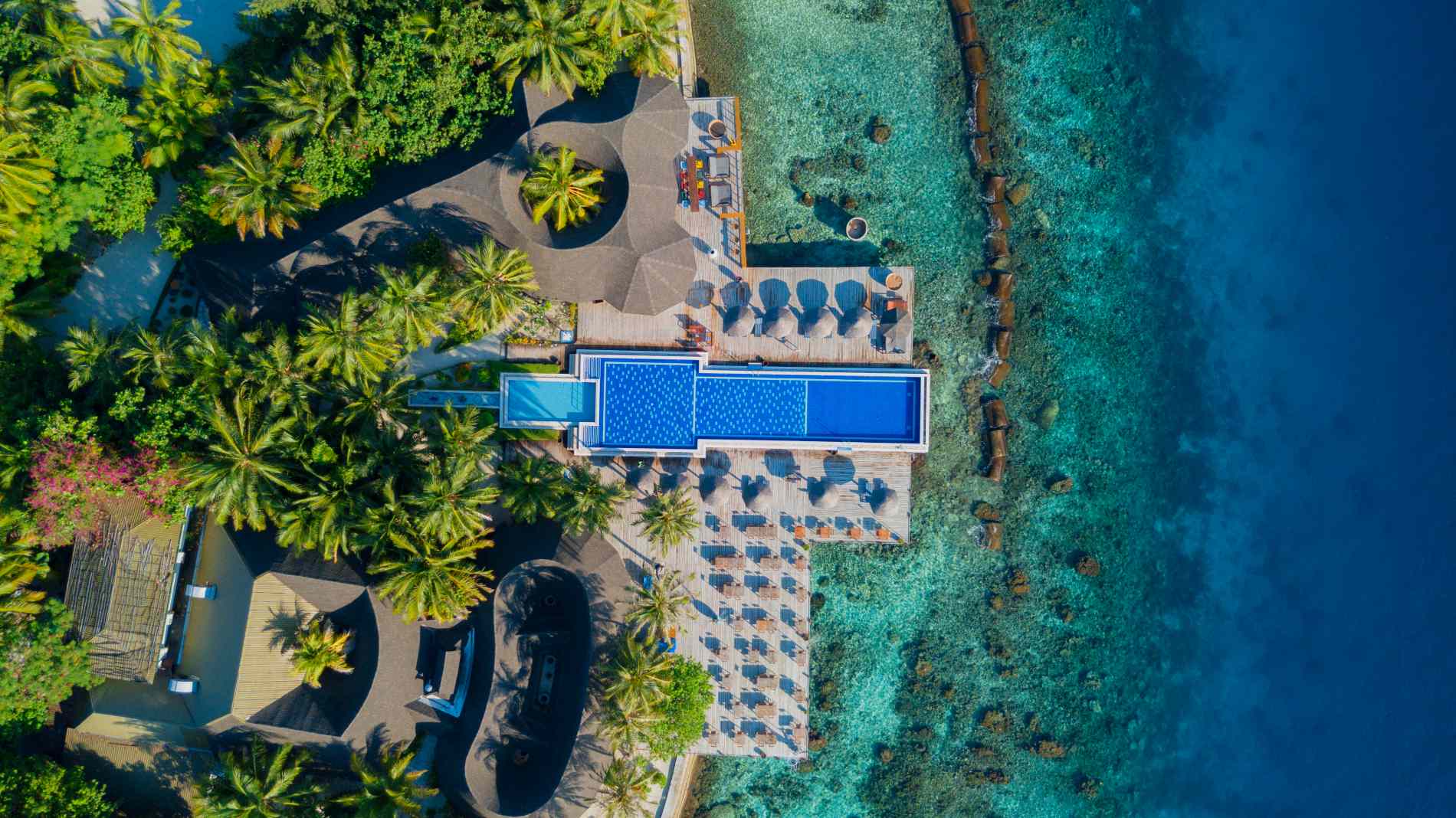 Rejser til Maldiverne, Centara Grand Island Resort & Spa, Infinity pool 
