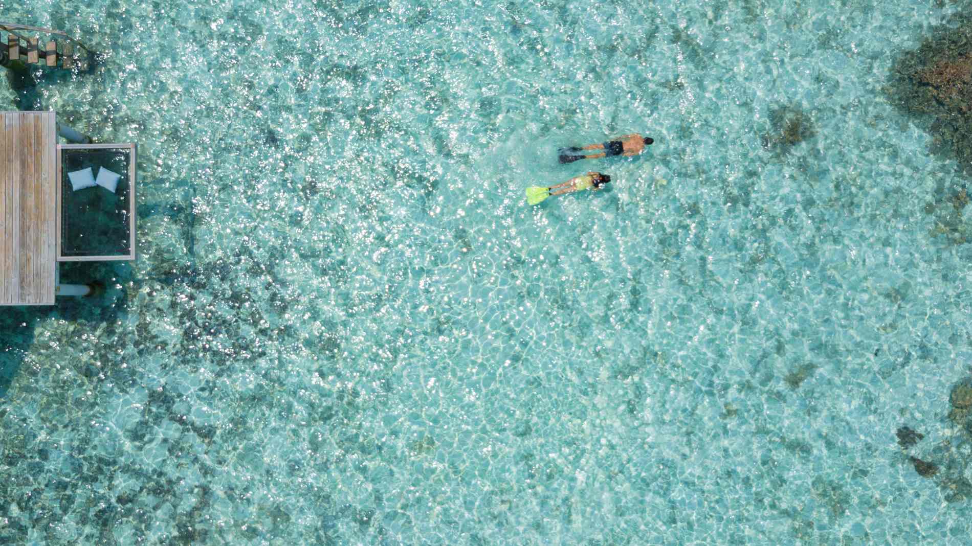 Rejser til Maldiverne, Centara Grand Island Resort & Spa, Snorkeling ved &oslash;ens koralrev