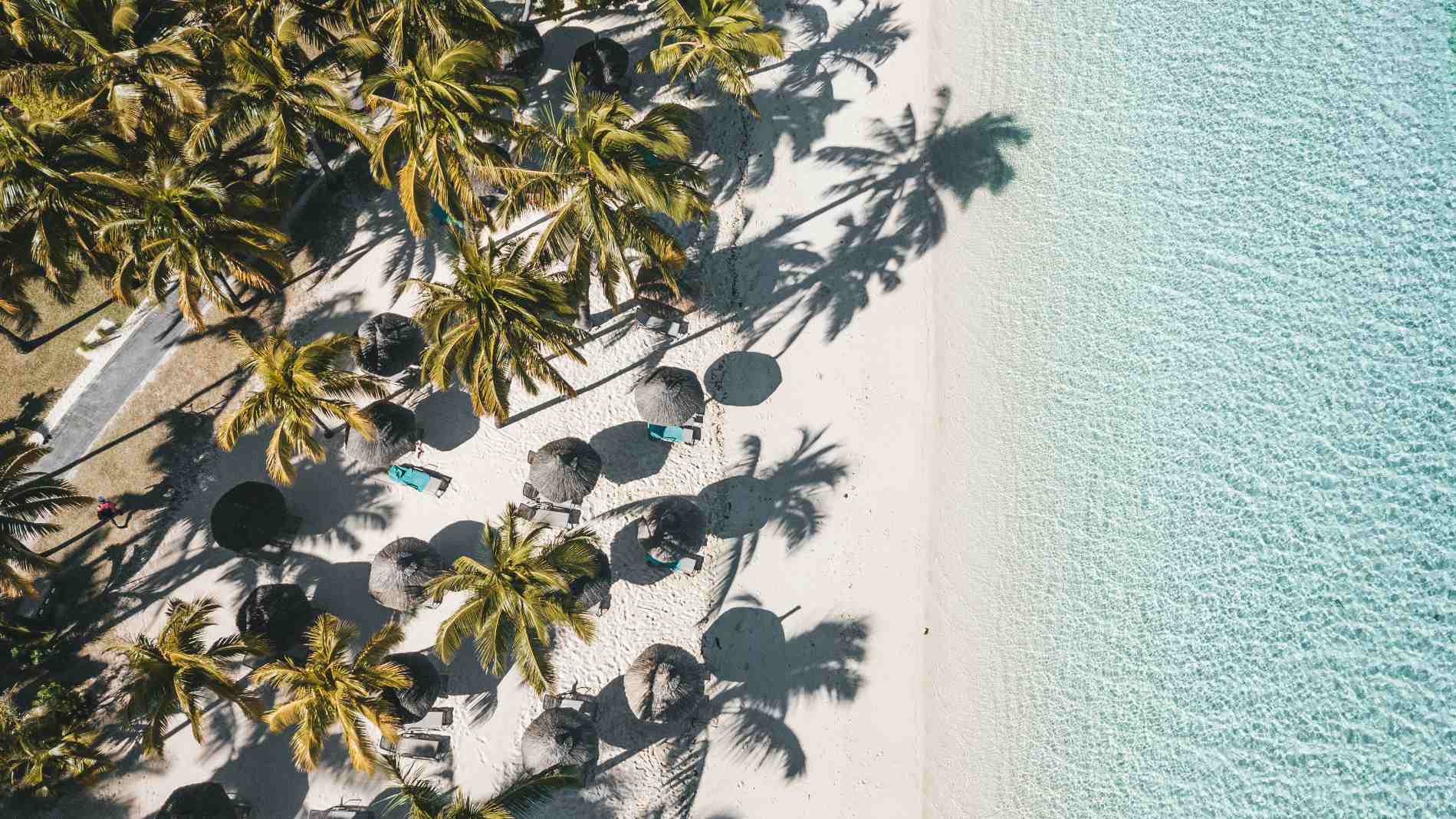 Rejser til Mauritius, Paradis Beachcomber Golf Resort & Spa, Palmer på stranden