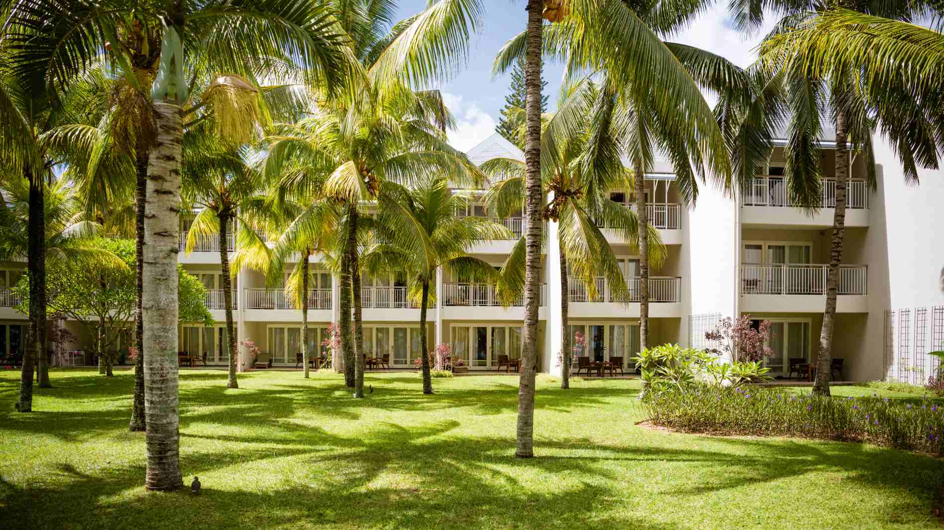 Rejser til Mauritius, Victoria Beachcomber Resort & Spa, Palmer i haven