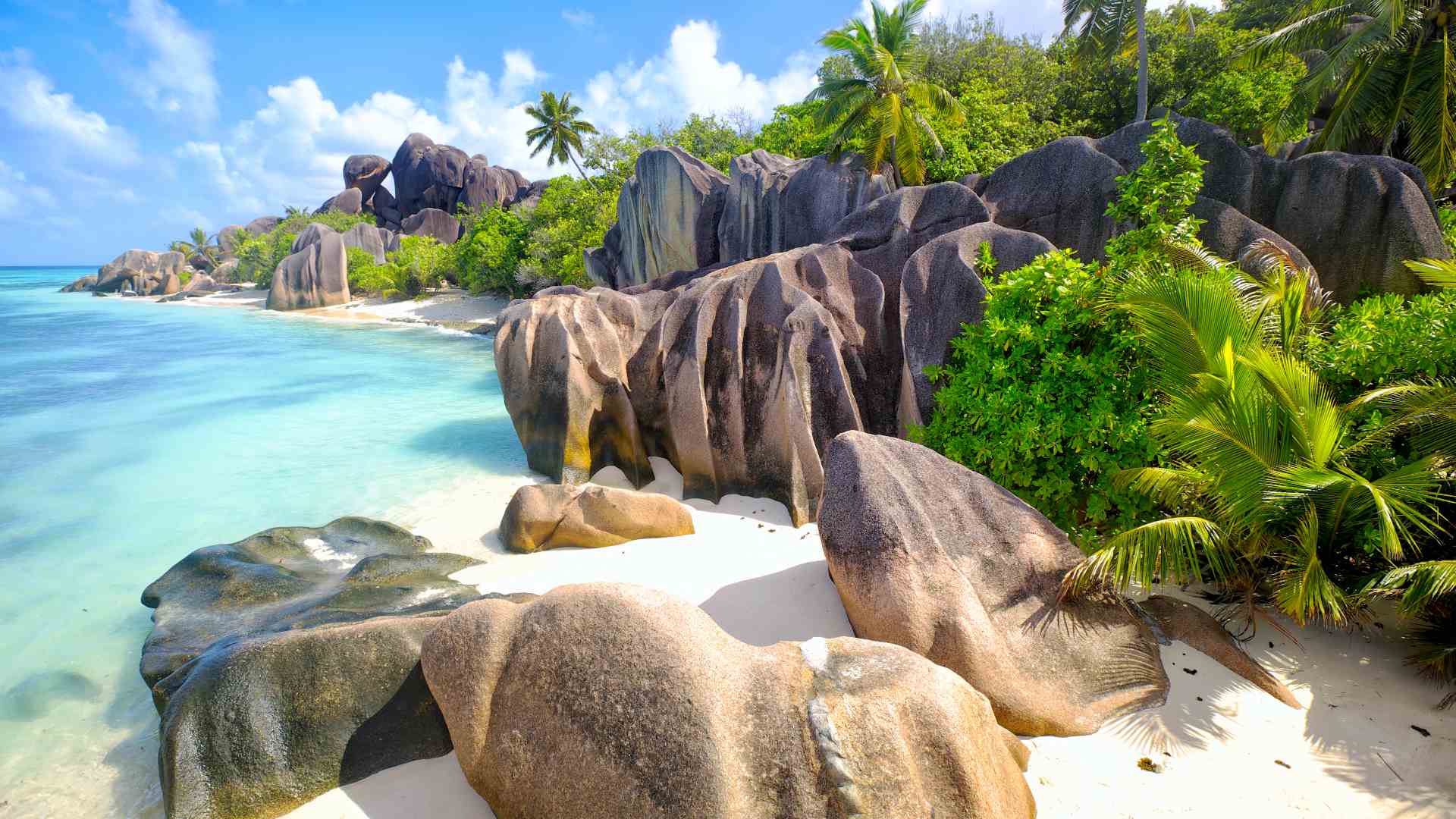 seychellerne mahe heldagstur til praslin digue udflugt