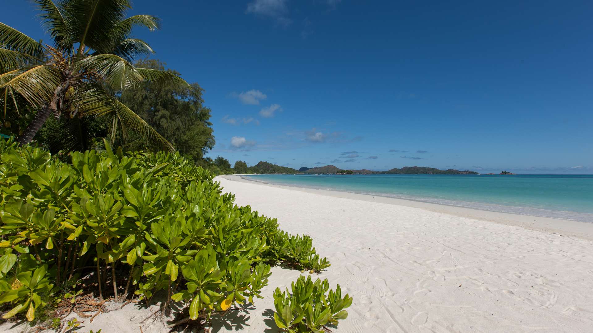 seychellerne praslin acajou beach strand resort
