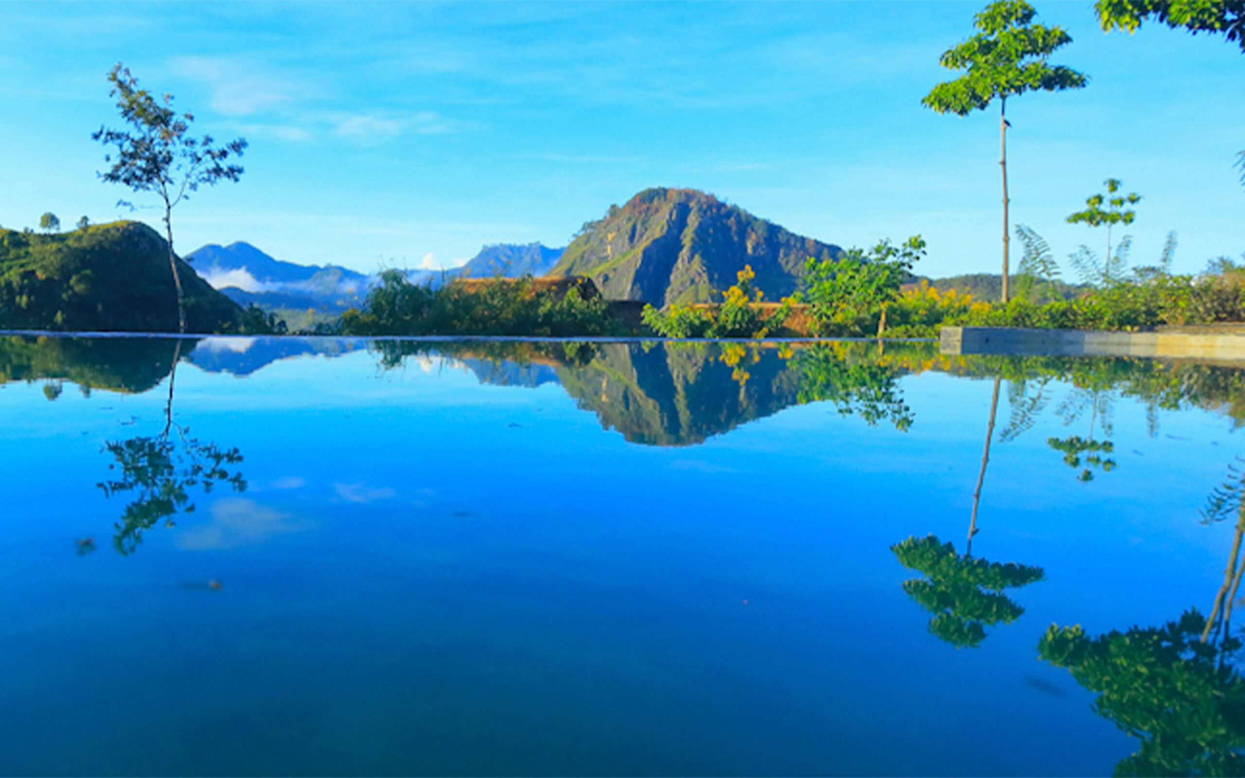 Sri Lanka 98 Acres Resort Pool Udsigt