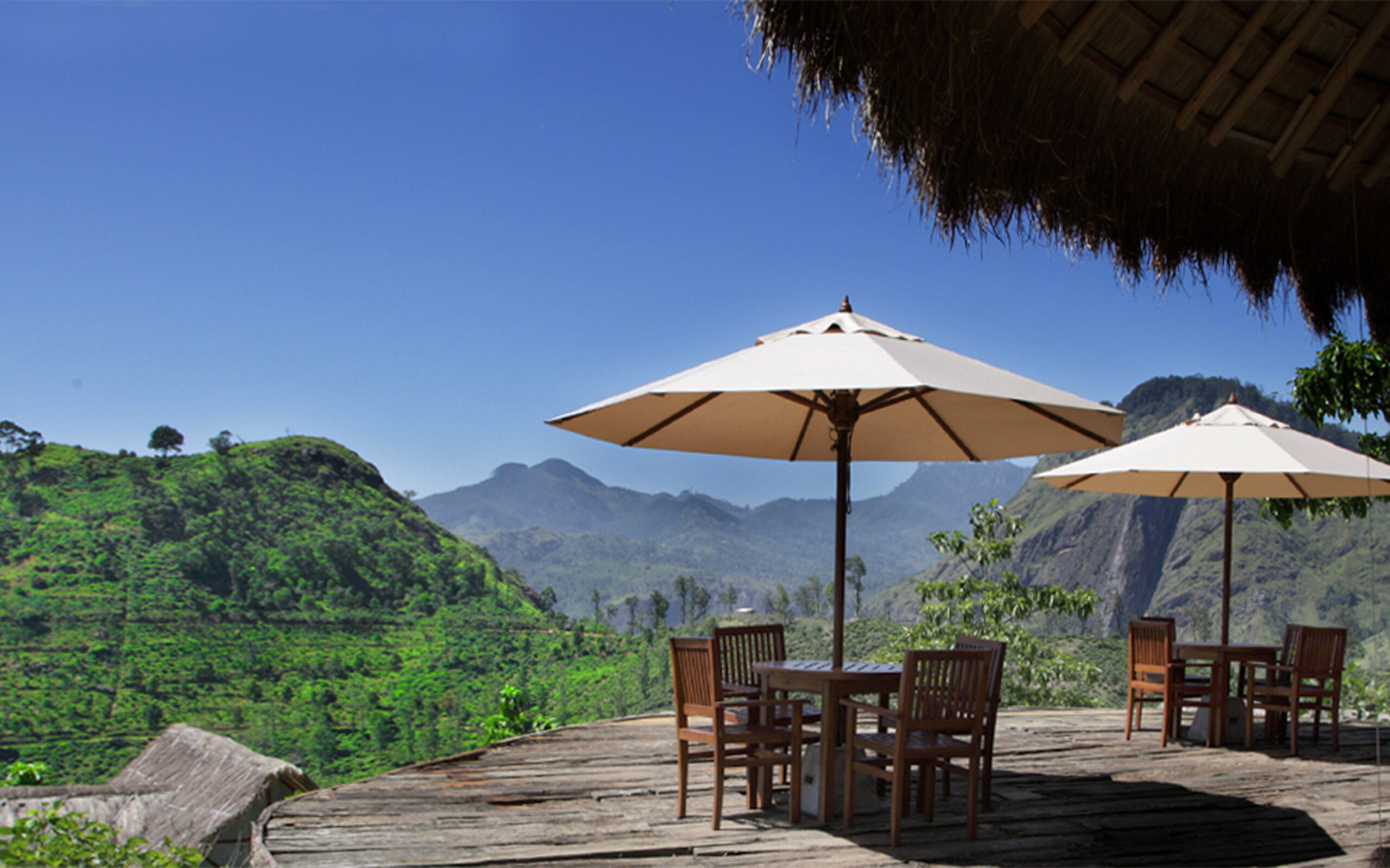 Sri Lanka 98 Acres Resort Udsigt Fra Bar