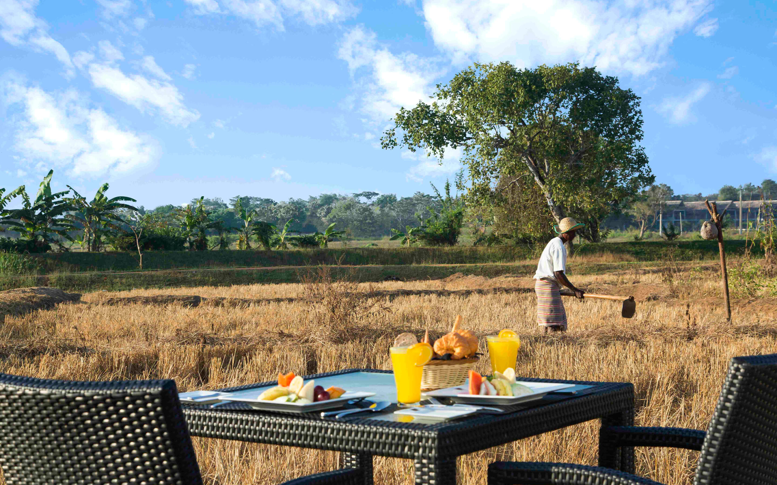 Sri Lanka Sigiriya Aliya Resort Morgenmad Ved Rismark