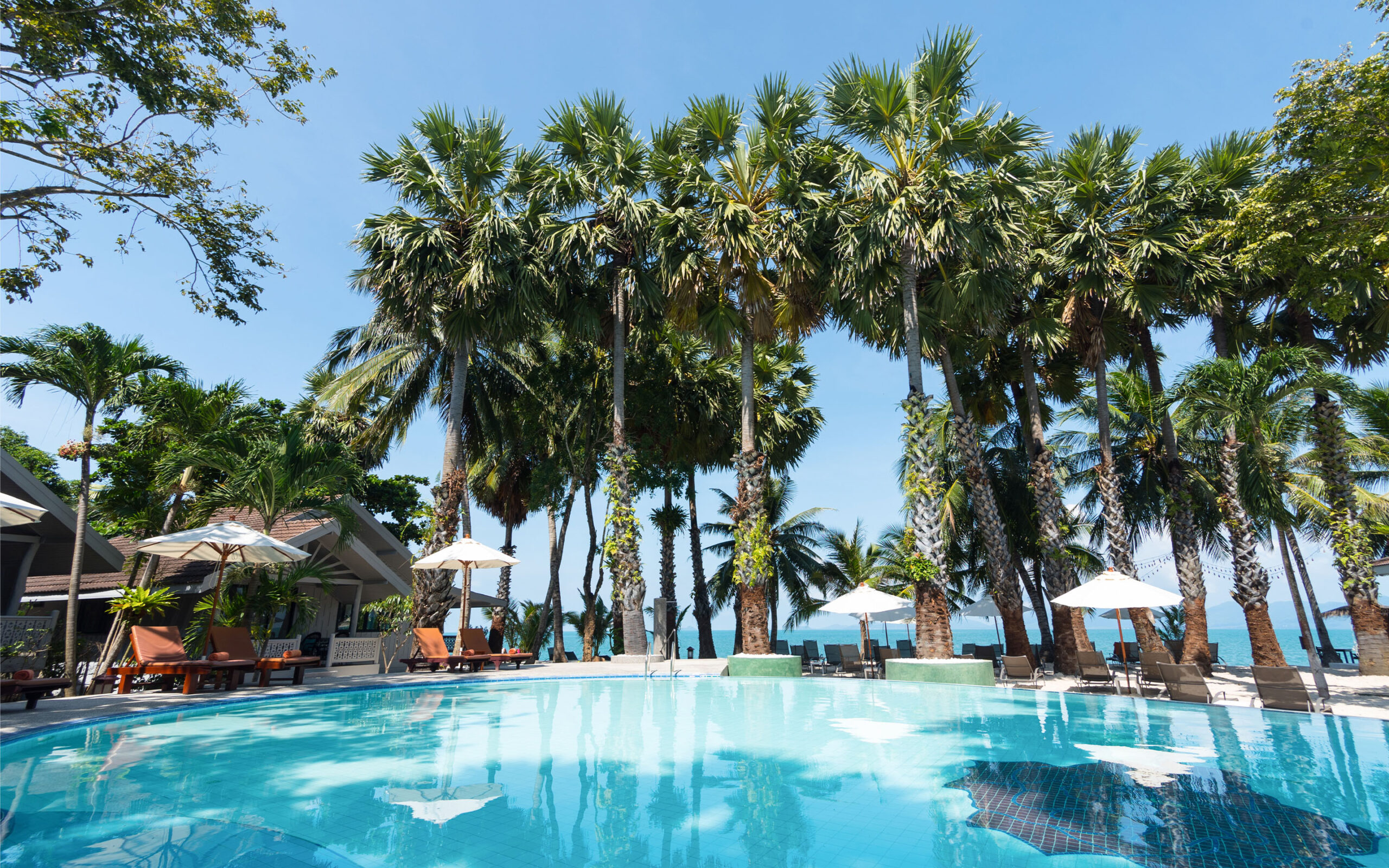 Thailand, Koh Samui, Paradise Beach Resort, Pool Omr&aring;de
