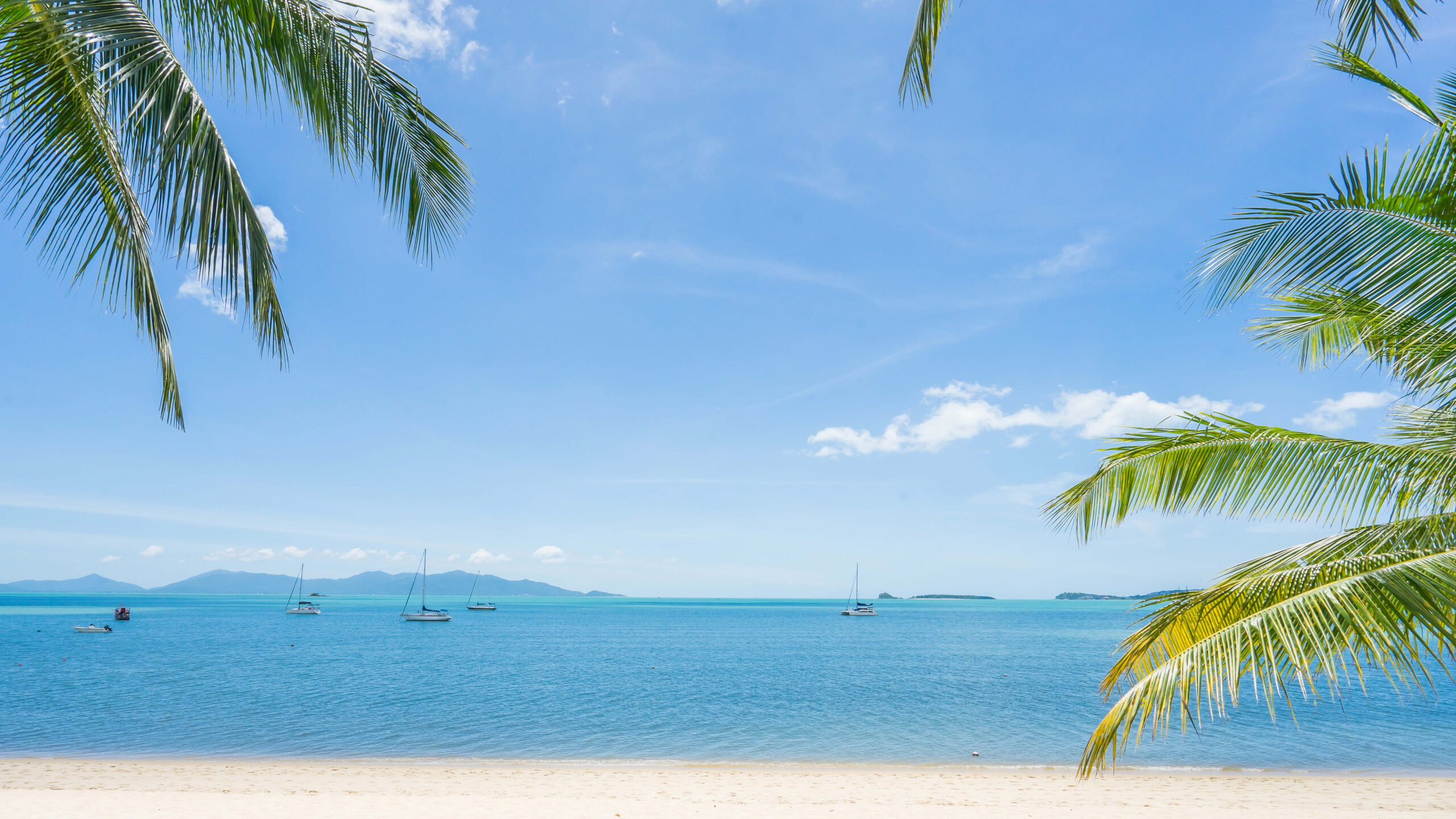 Thailand, Koh Samui, Peace Resort Samui, Strand Udsigt