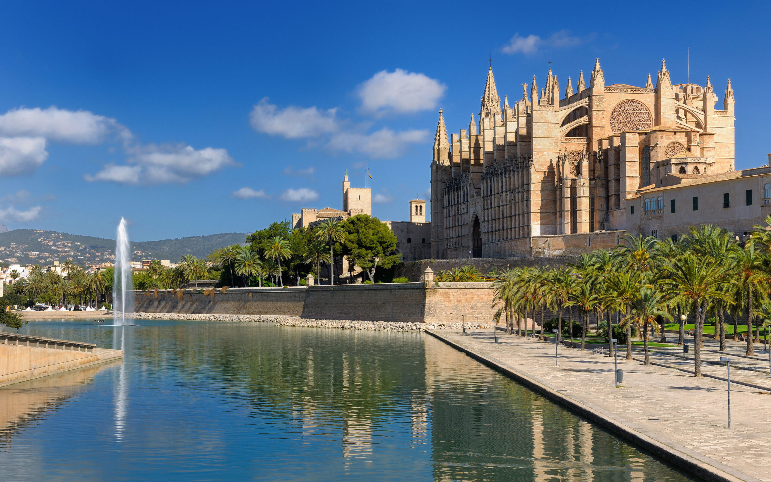 Basilica De Danta Maria De Mallorca