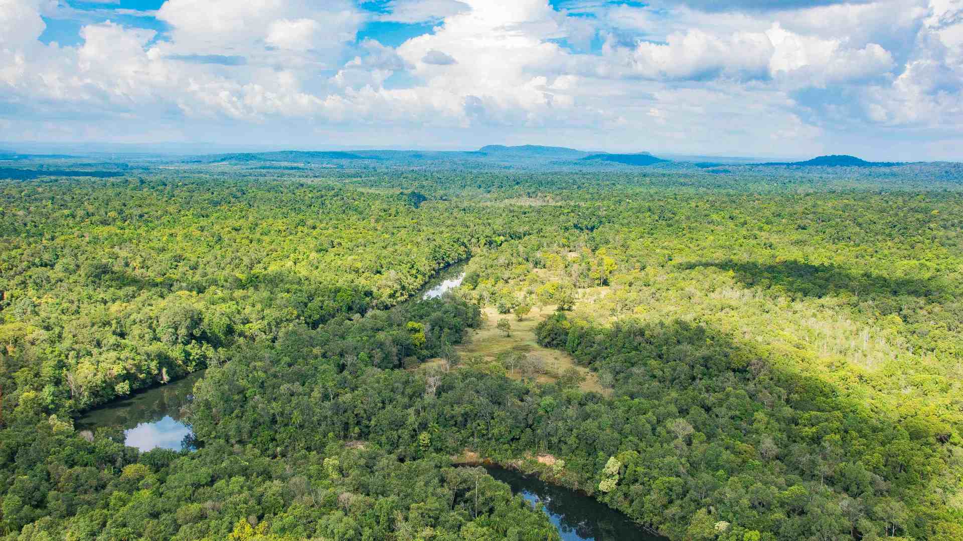 Cambodia, Cardamom Mountains, Cardamom Tented Camp, Luftfoto, Flod, Jungle