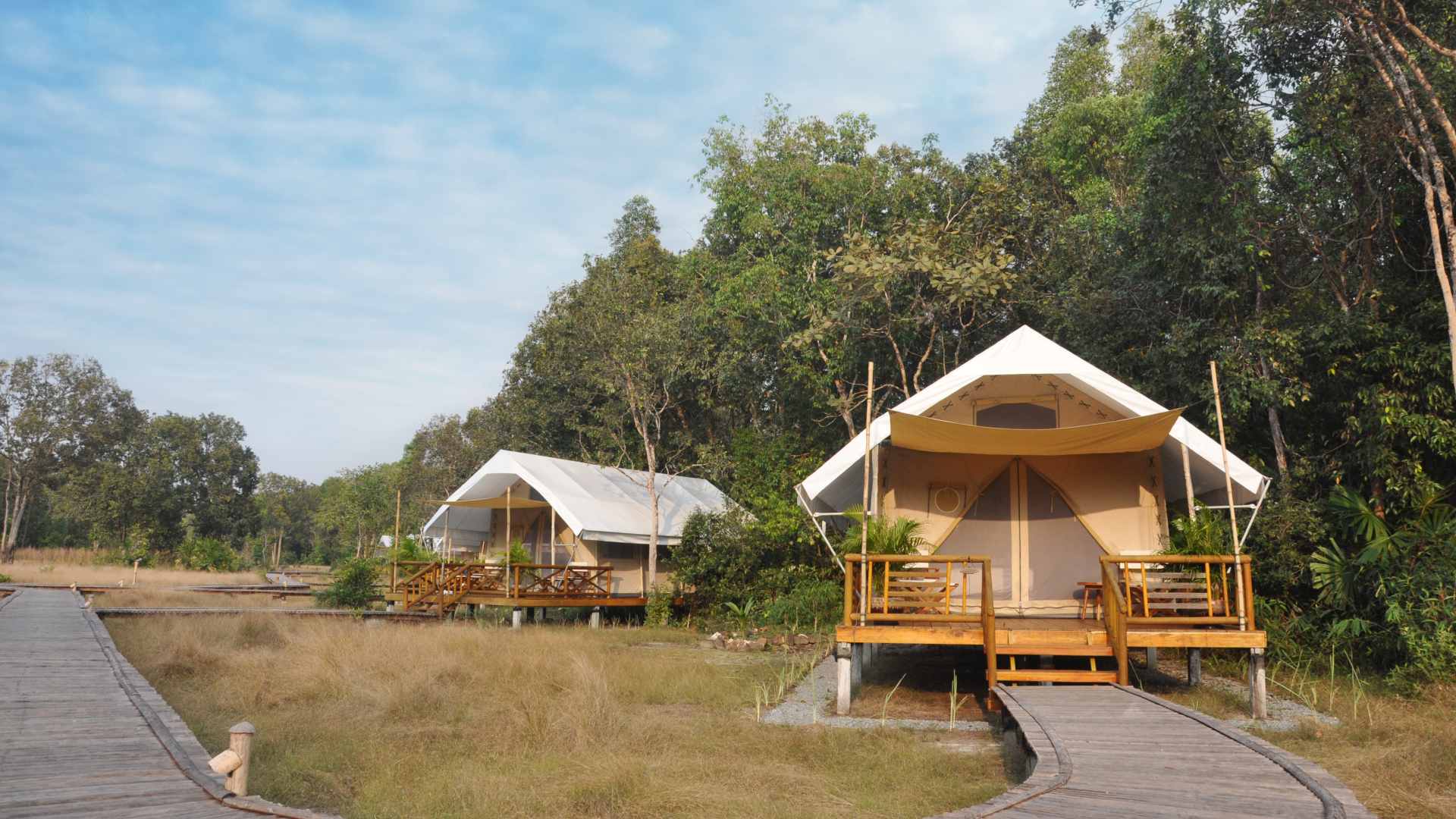 Cambodia, Cardamom Mountain,s Cardamom Tented Camp, Telte