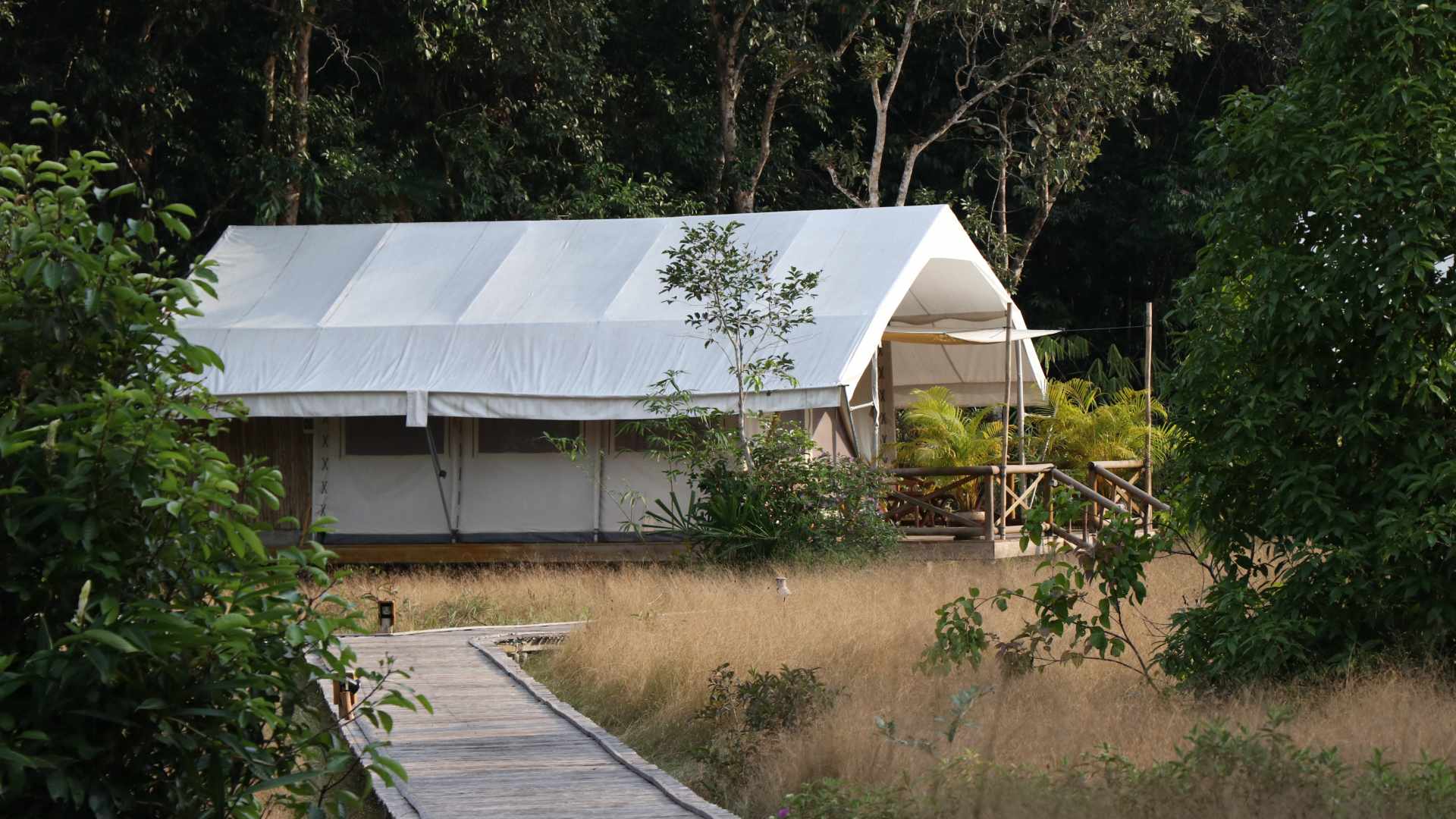 Cambodia, Cardamom Mountains, Cardamom Tented Camp, Telt