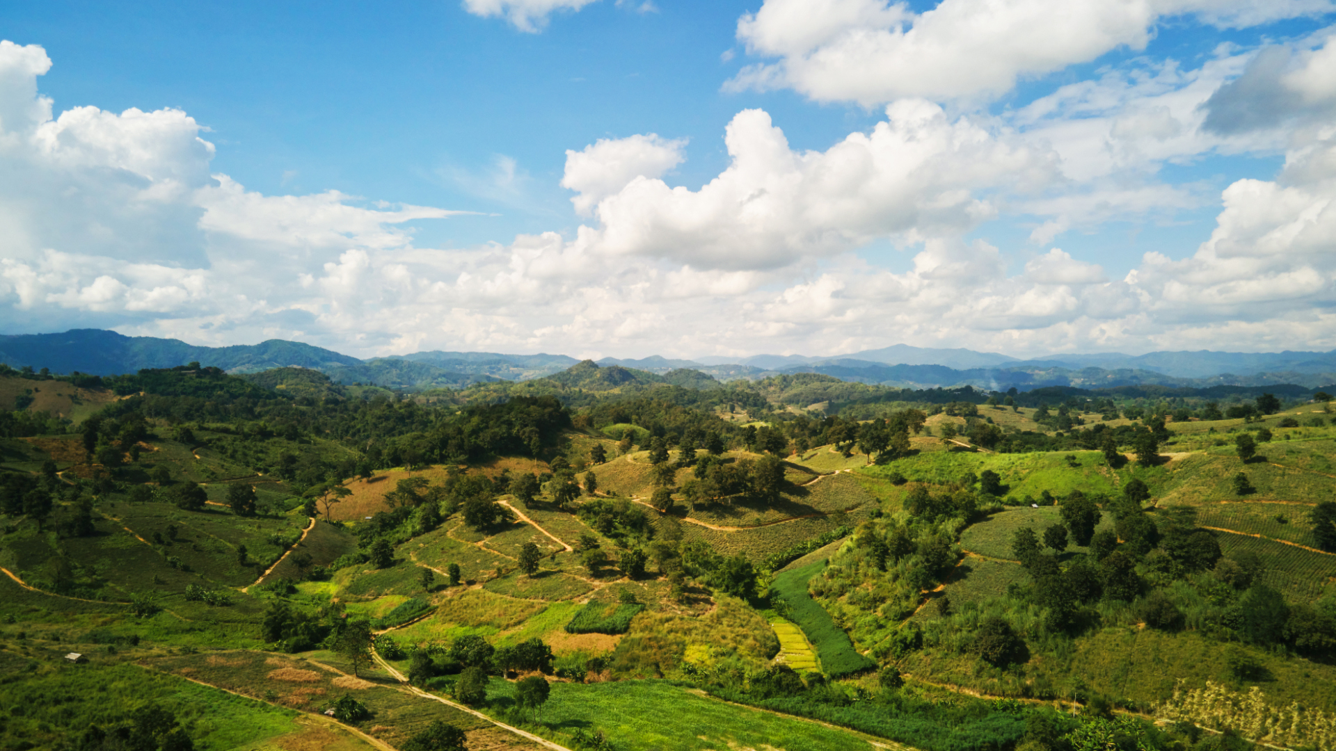 Thailand Chiang Rai Visama Mae Chan Omgivelserne