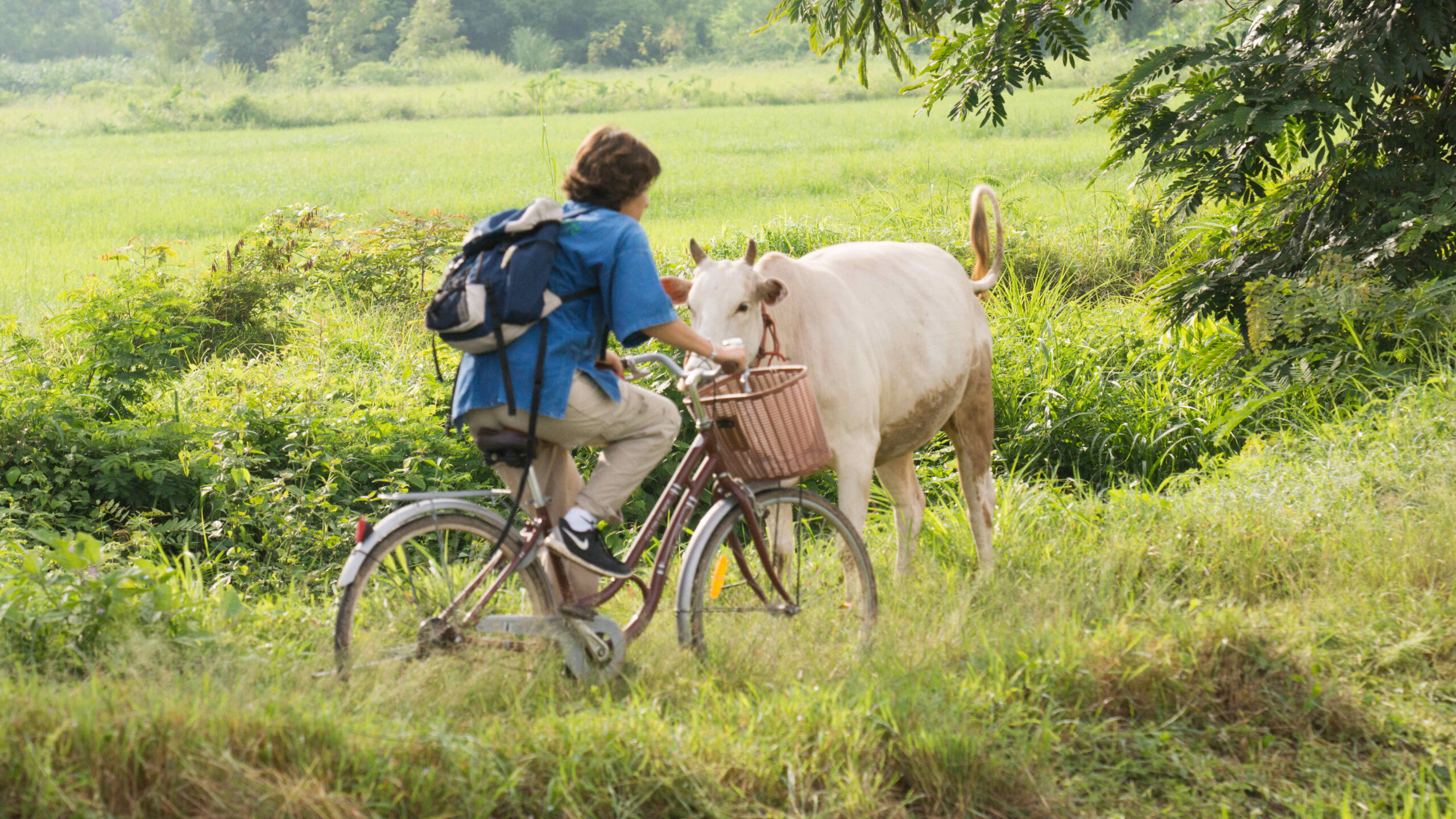 Thailand, Chiang Mai, Khum Lanna, Biking Local Area