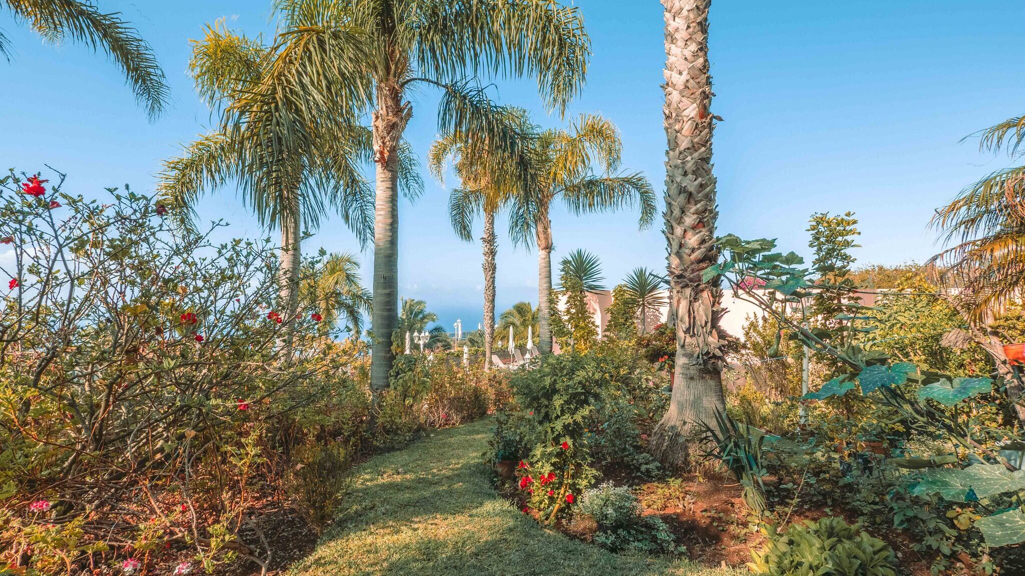 Portugal Madeira Ocean Gardens Have