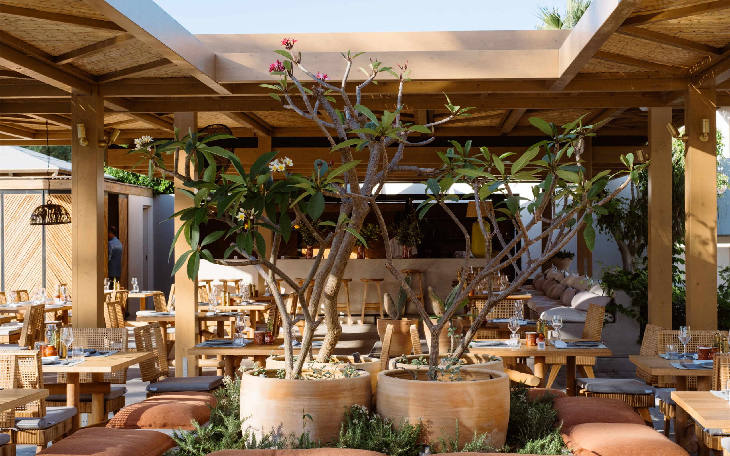 Grækenland Kreta Cretan Malia Park Heraklion, Restaurant Mezze