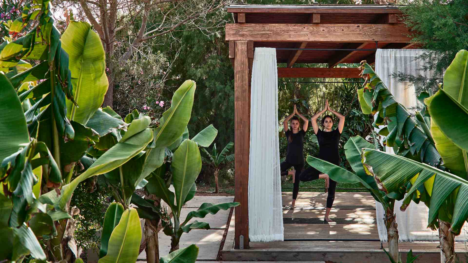 Rejser til Grækenland, Kreta, Heraklion, Cretan Malia Park, Yoga