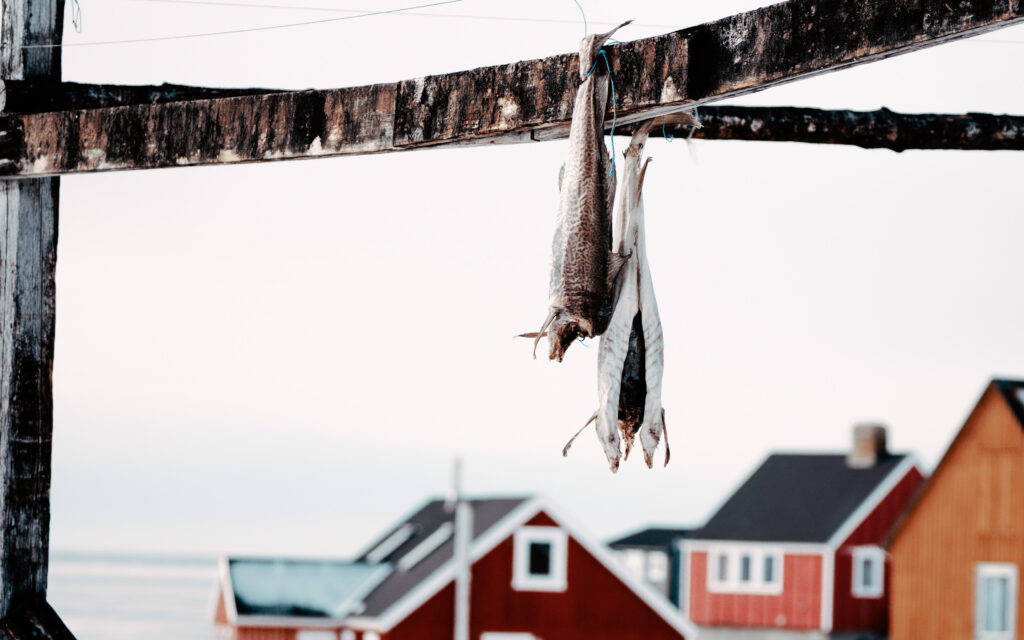Grønland Oqaatsut, Rødebugt, Illulissat, Bygd, Diskobugten, Rodebay