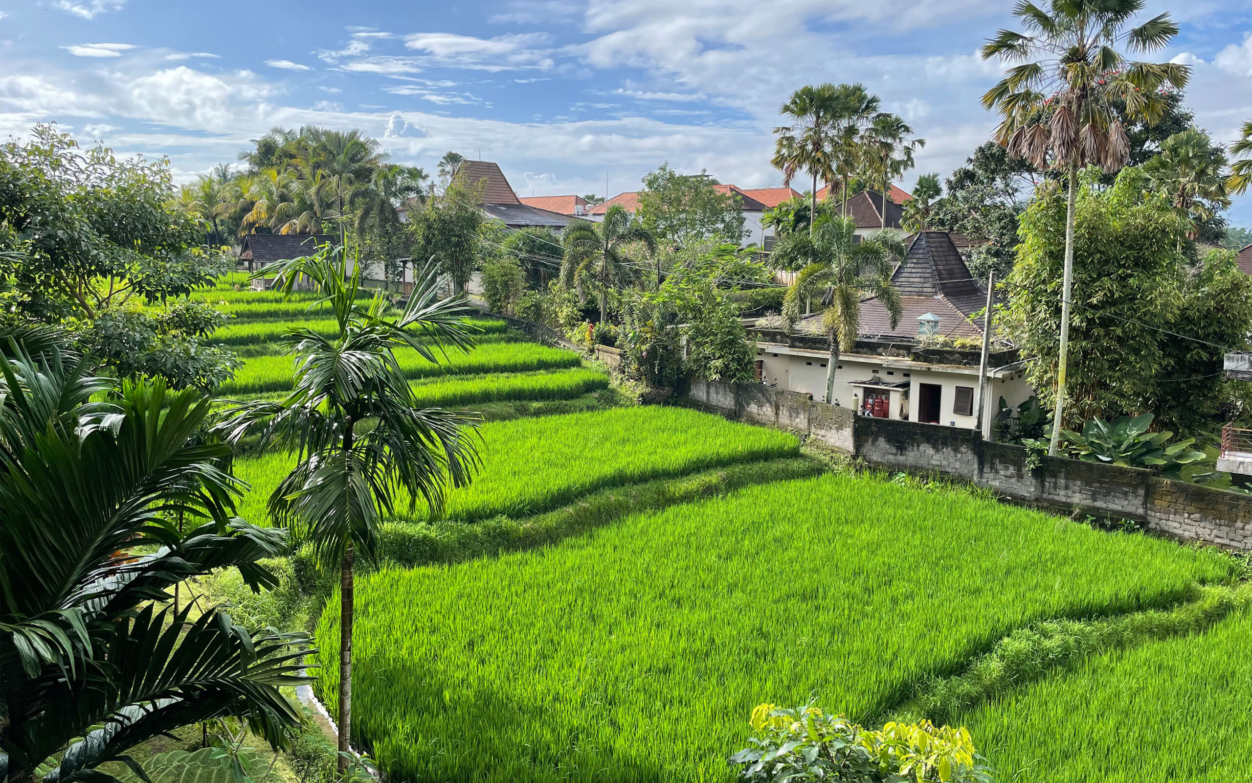 Indonesien Bali Ubud Adiwana Bisma, Resort Surroundings