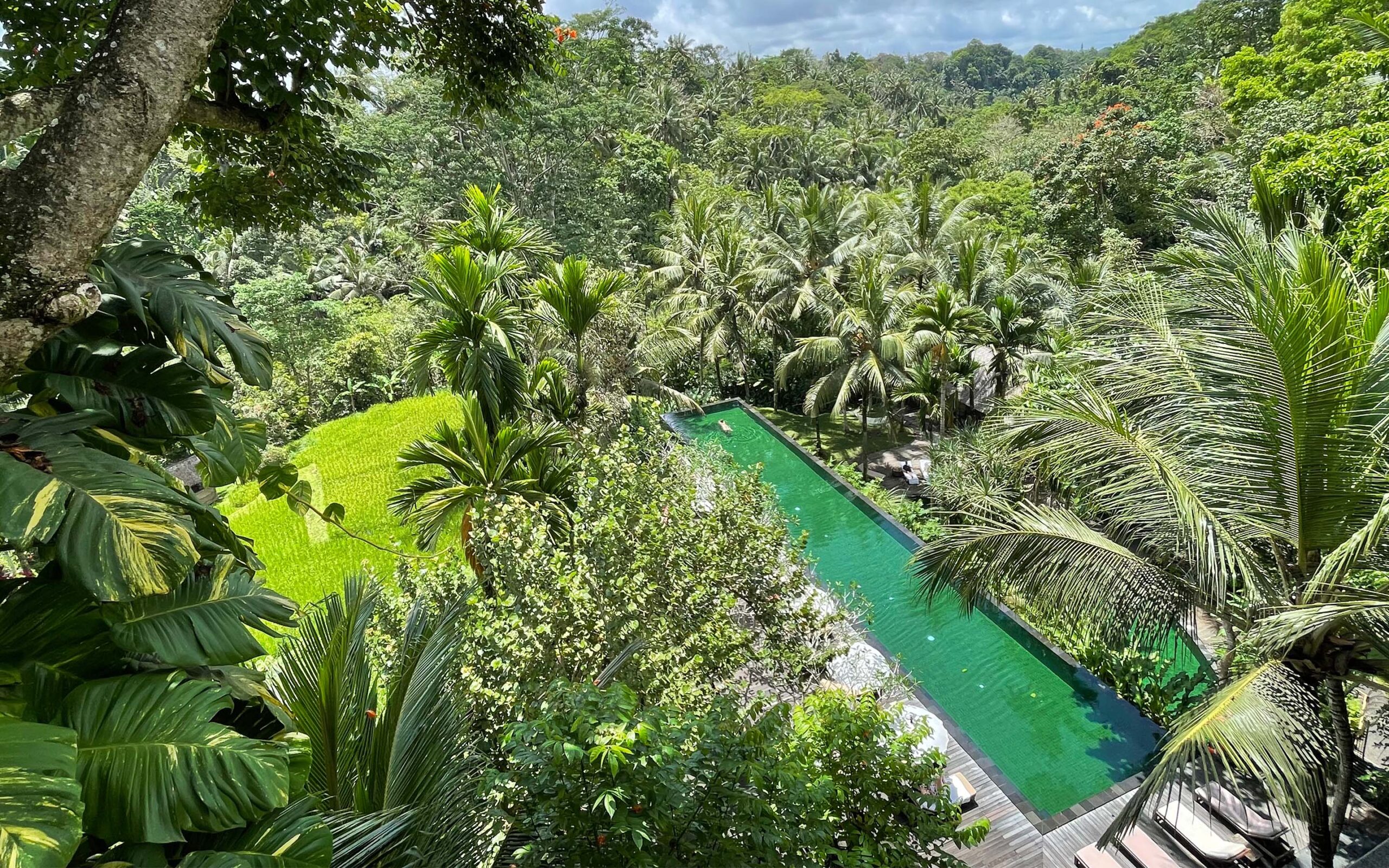 Indonesien, Bali, Ubud, Komaneka Bisma, Main Pool