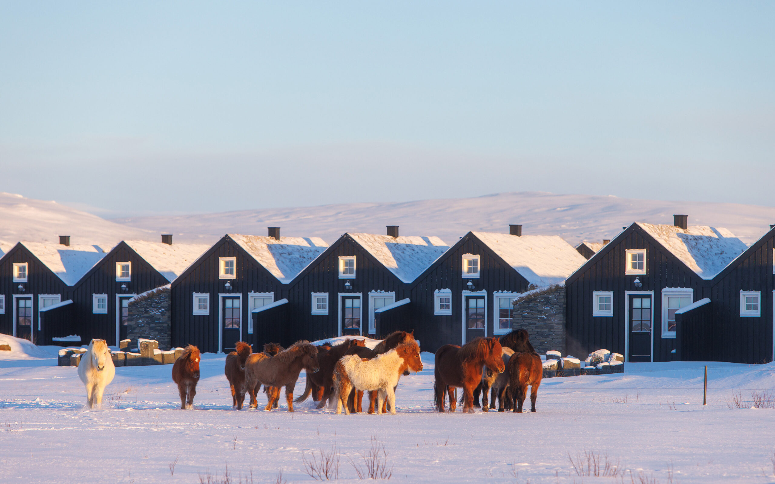 Island Torfhus Retreat Torfhus Torfb&aelig;r Hytter
