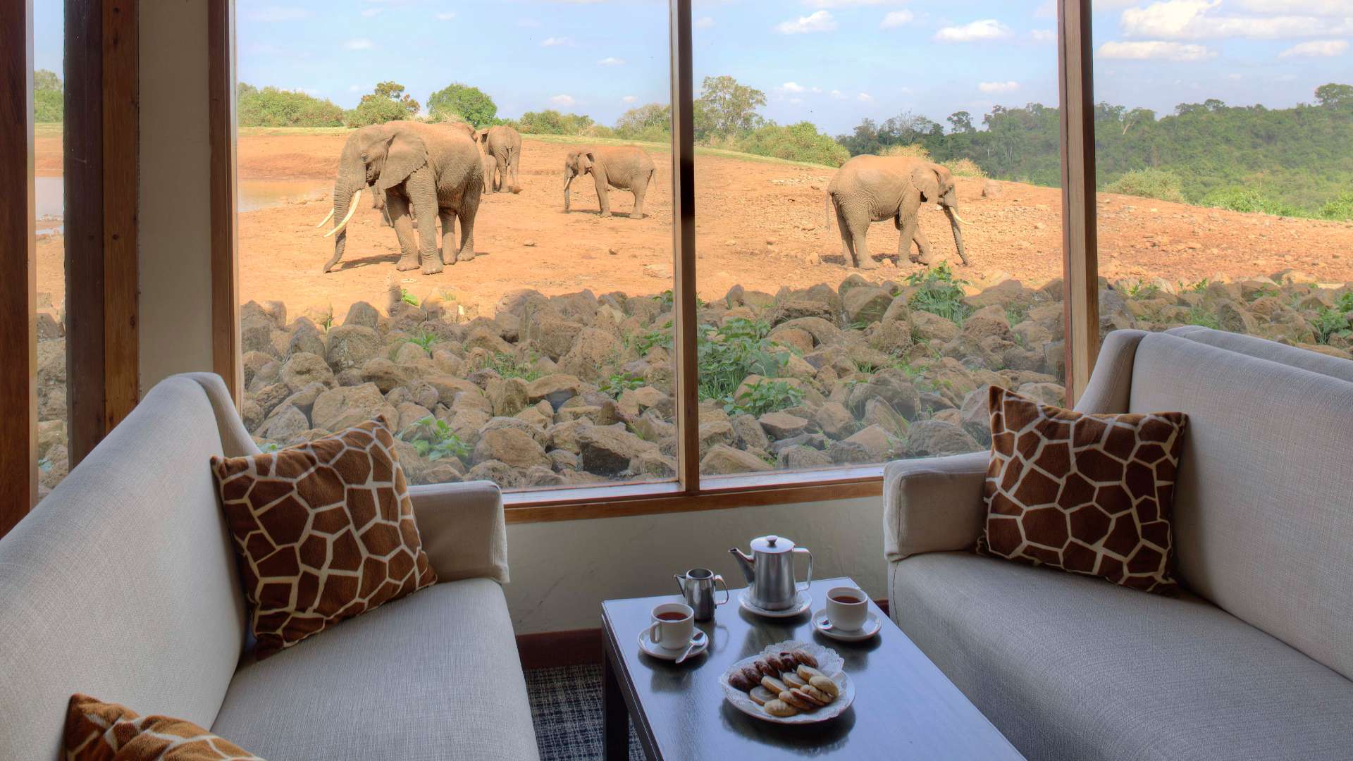 Kenya aberdare the ark afternoon tea elephants