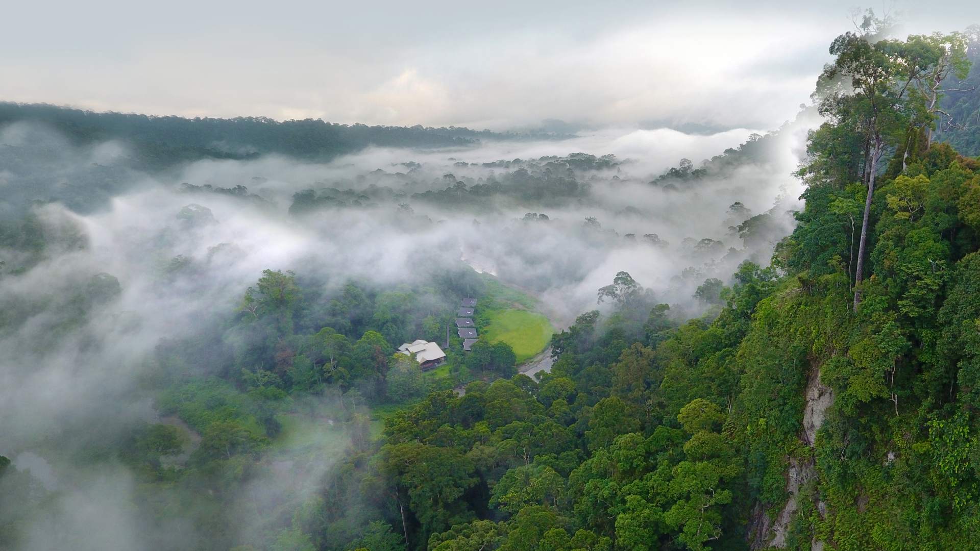 Malaysia, Borneo, Danum Valley Borneo Rainforest Lodge, Aerial View
