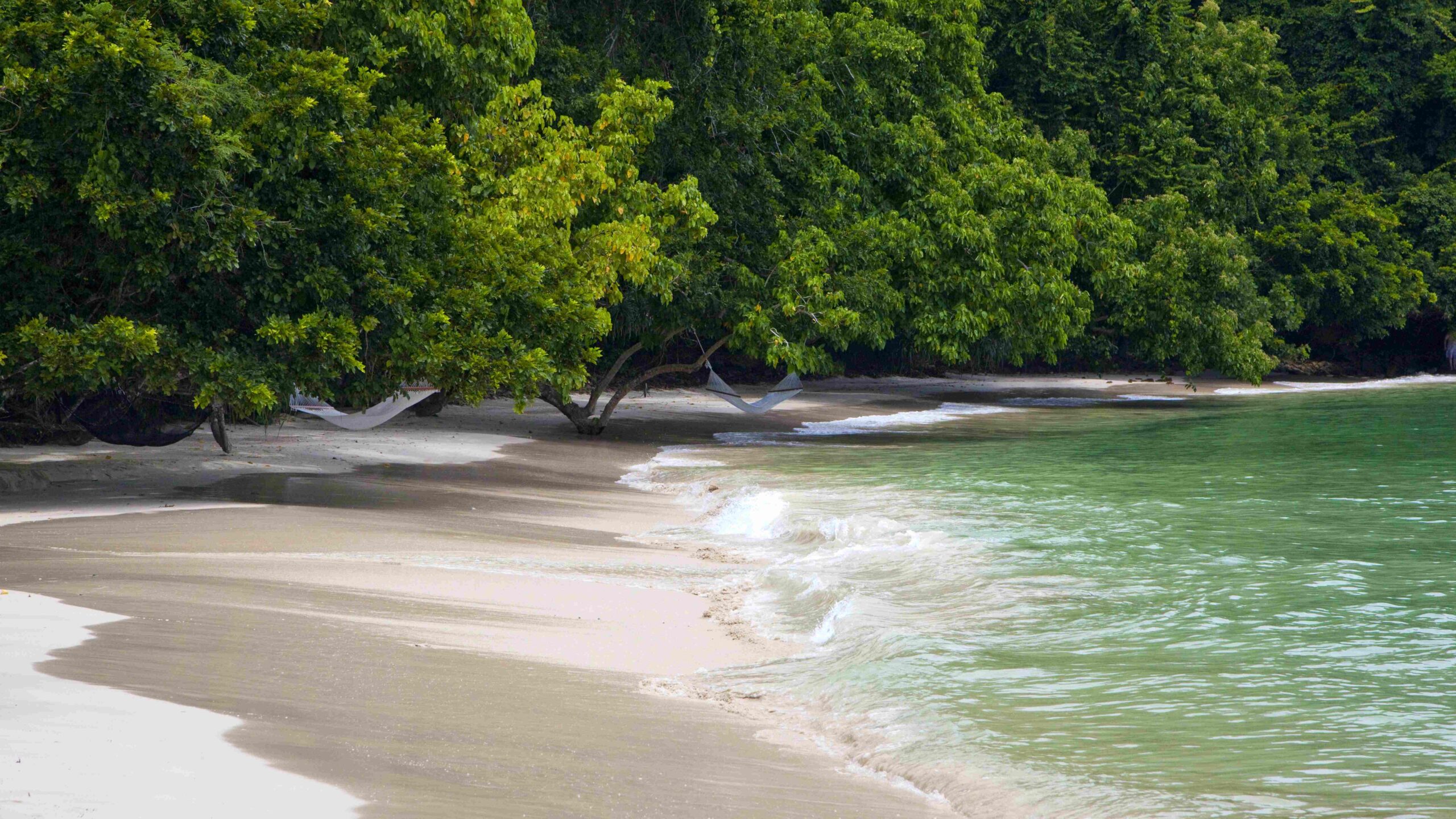 Malaysia Borneo gaya island strand regnskov scaled resort