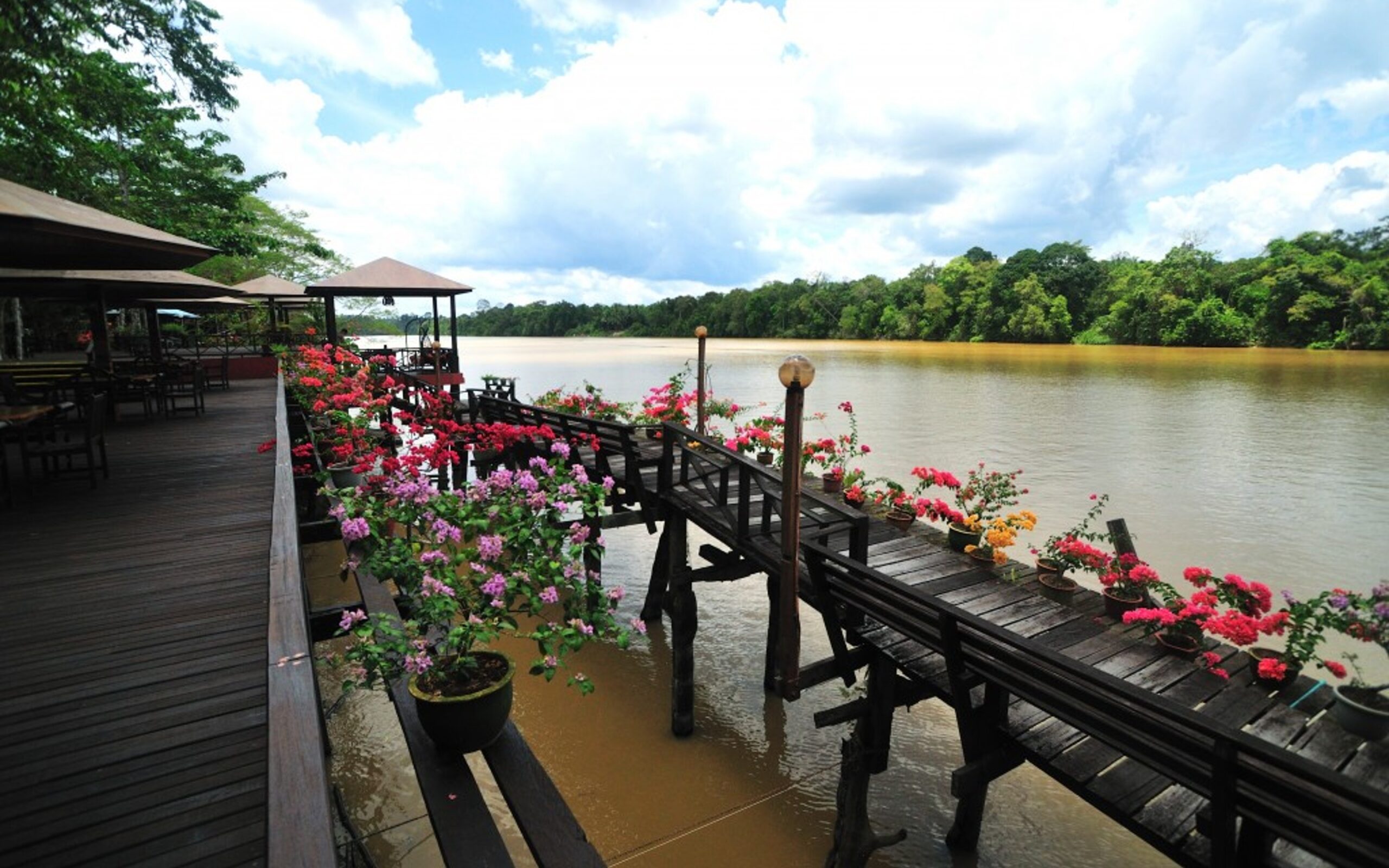 Malaysia, Borneo, Kinabatangan River Lodge, Aerial View