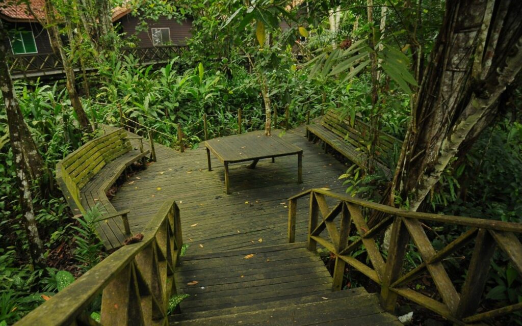 Malaysia, Borneo, Kinabatangan River Lodge View Point