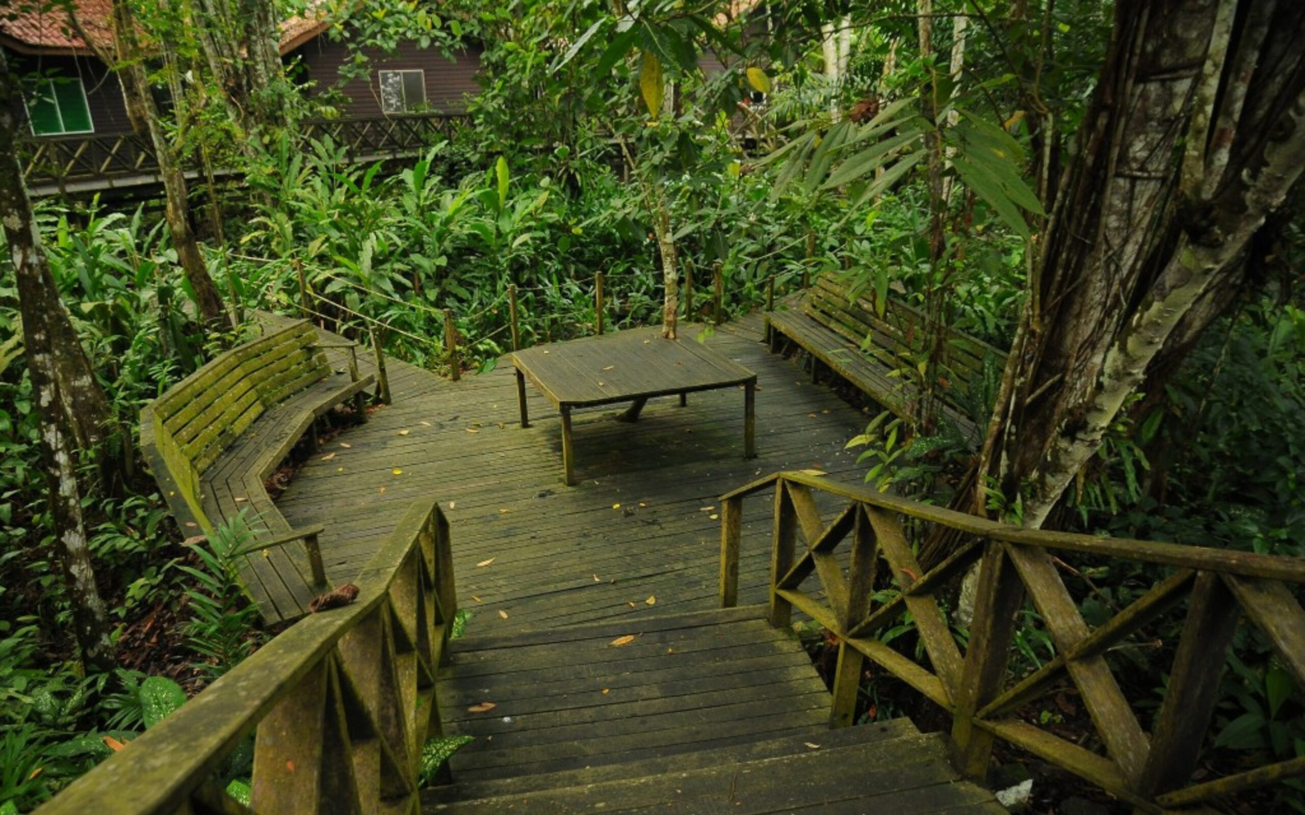 Malaysia, Borneo, Kinabatangan River Lodge View Point