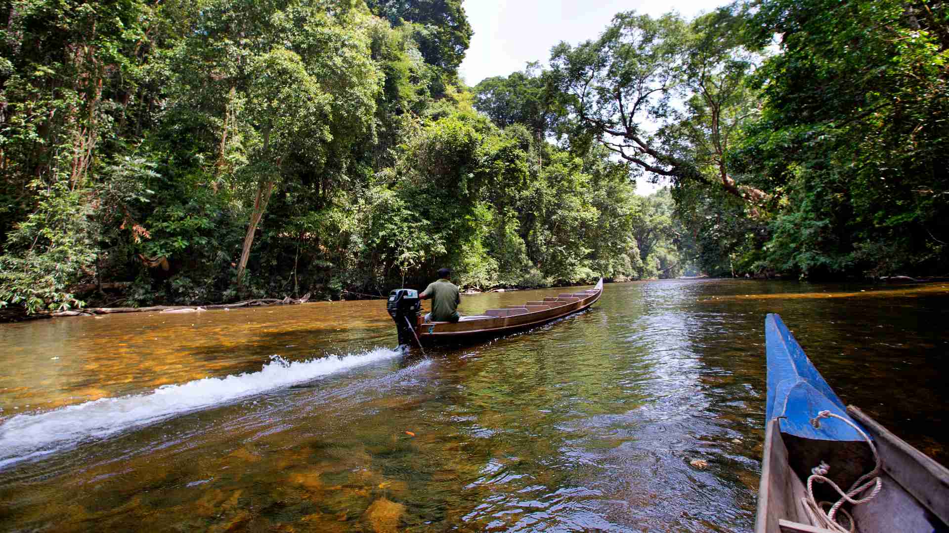 Malaysia taman negara mutiara flod sejltur