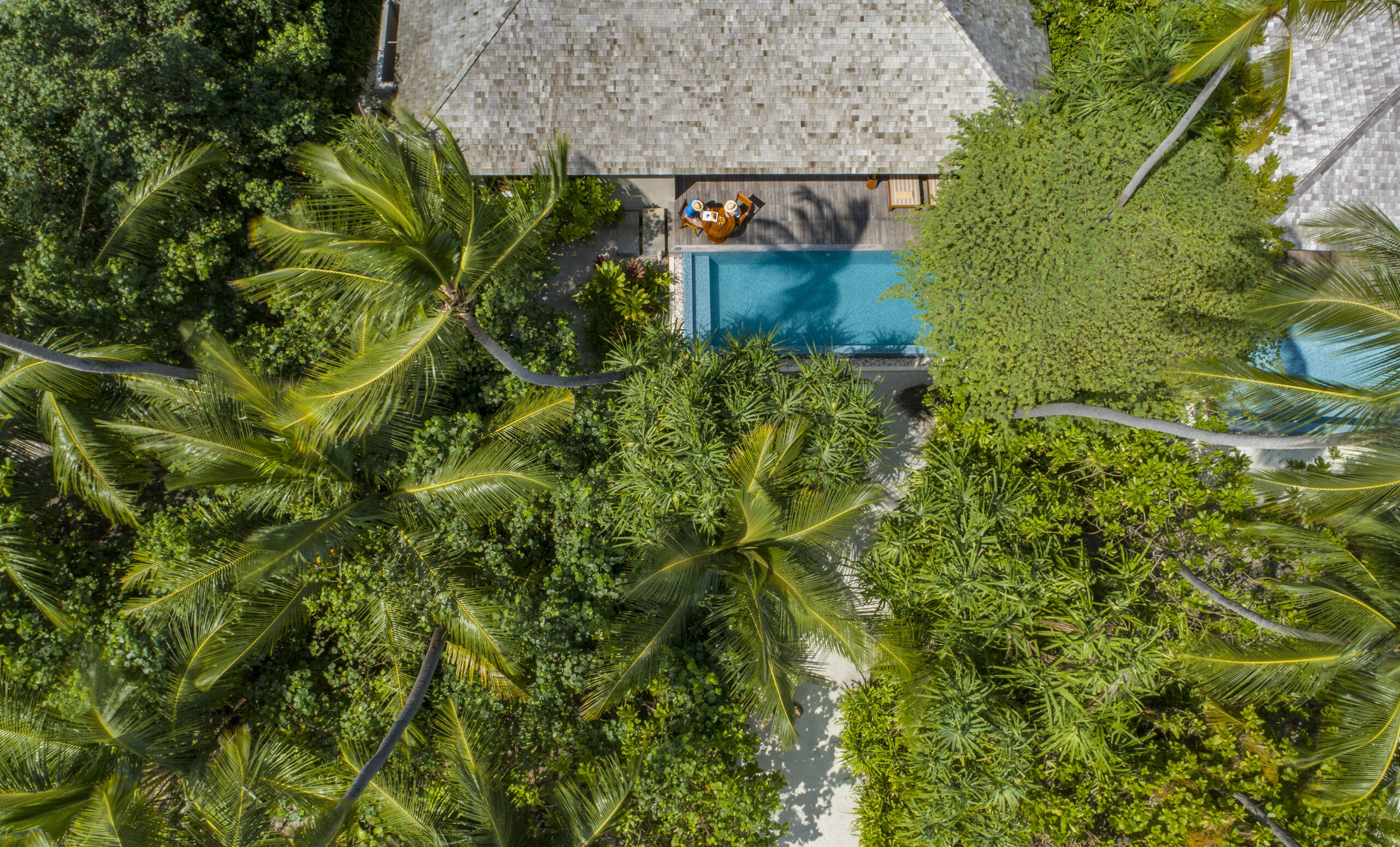 Rejser til Maldiverne, The Residence Maldives at Dhigurah, Den frodige vegetation omkring en deluxe beach pool villa