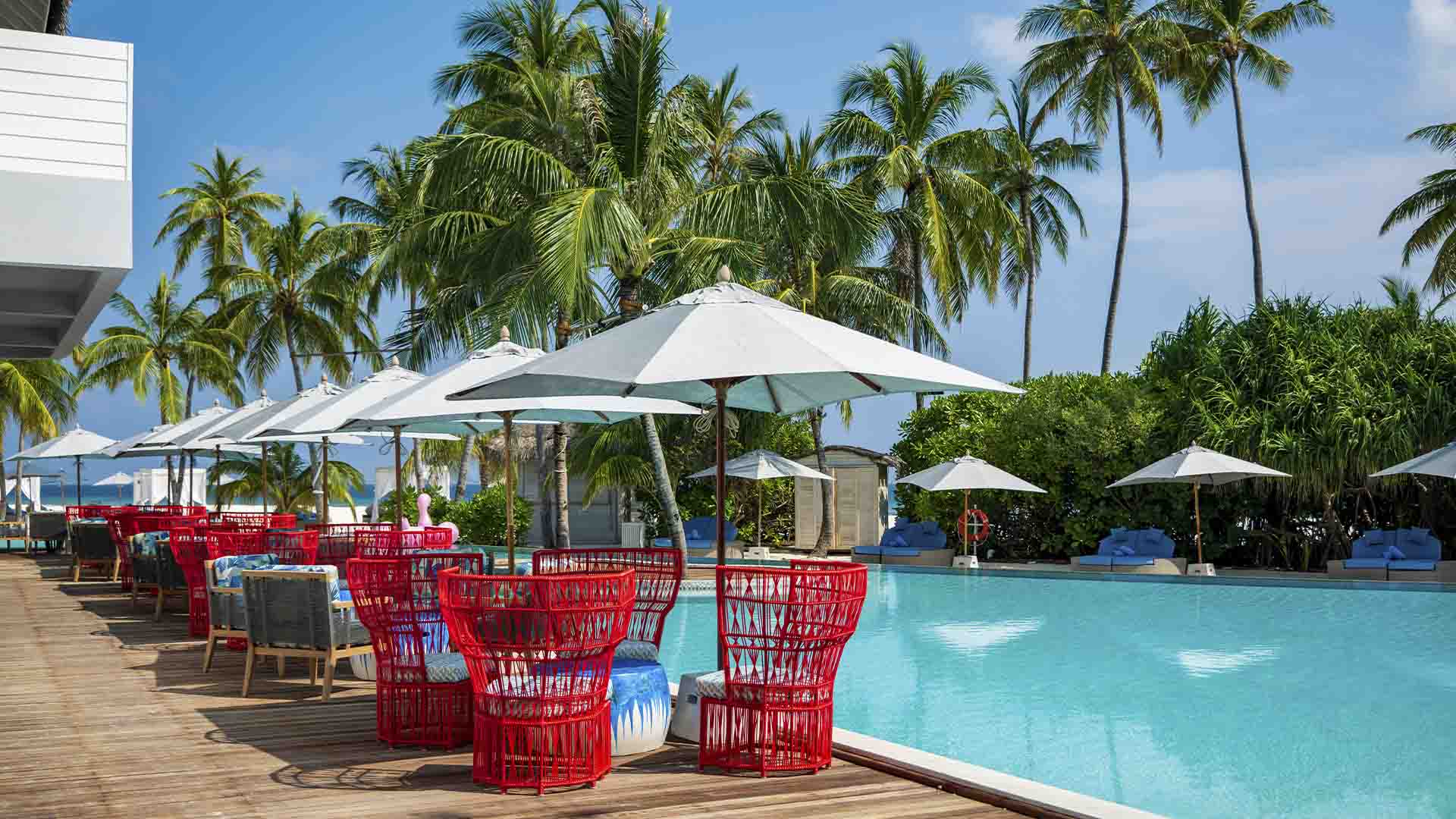 Rejser til Maldiverne, Finolhu Baa Atoll, Pool Bar