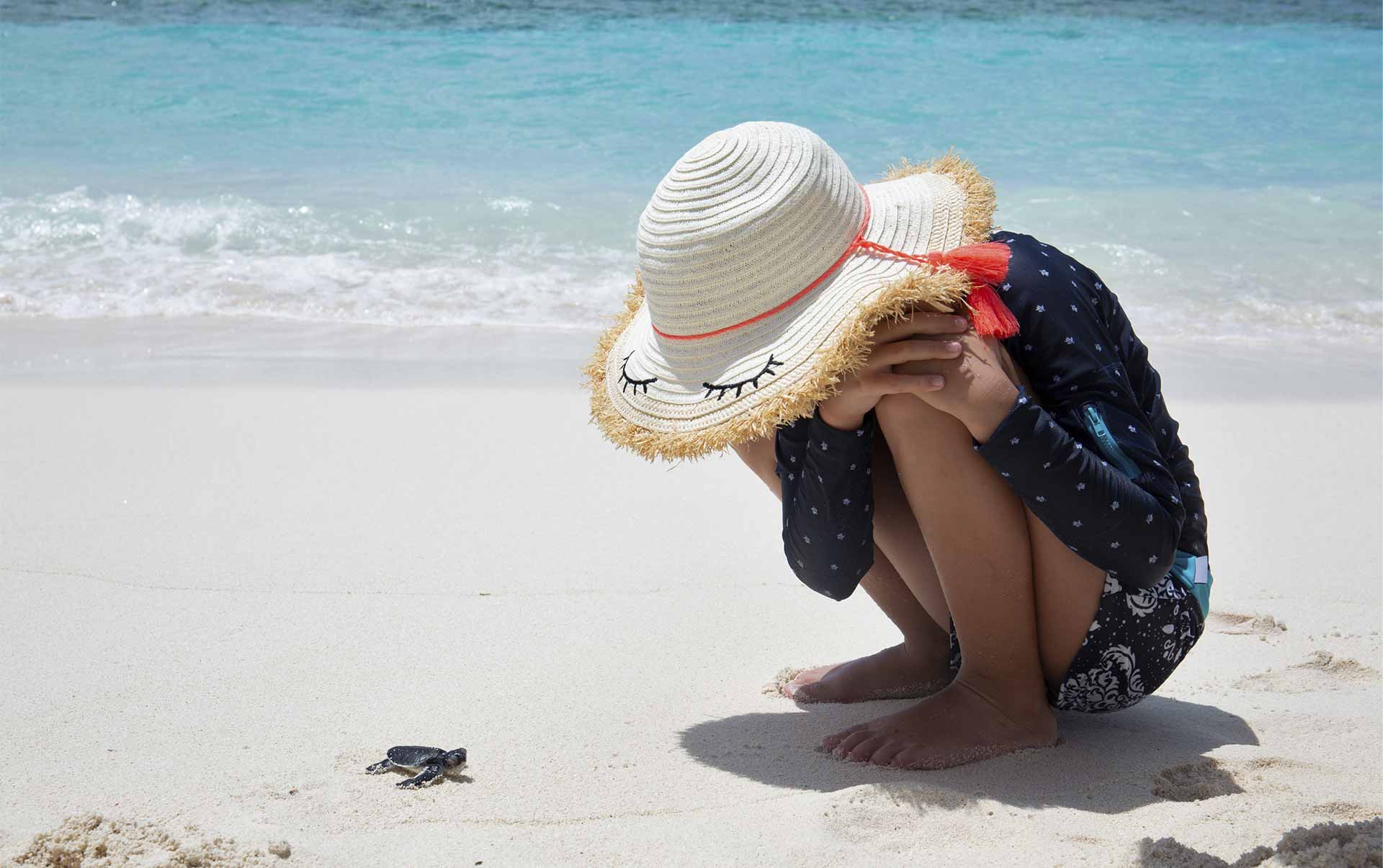 Rejser til Maldiverne, Six Senses Laamu, Skildpadde udkl&aelig;kket p&aring; stranden