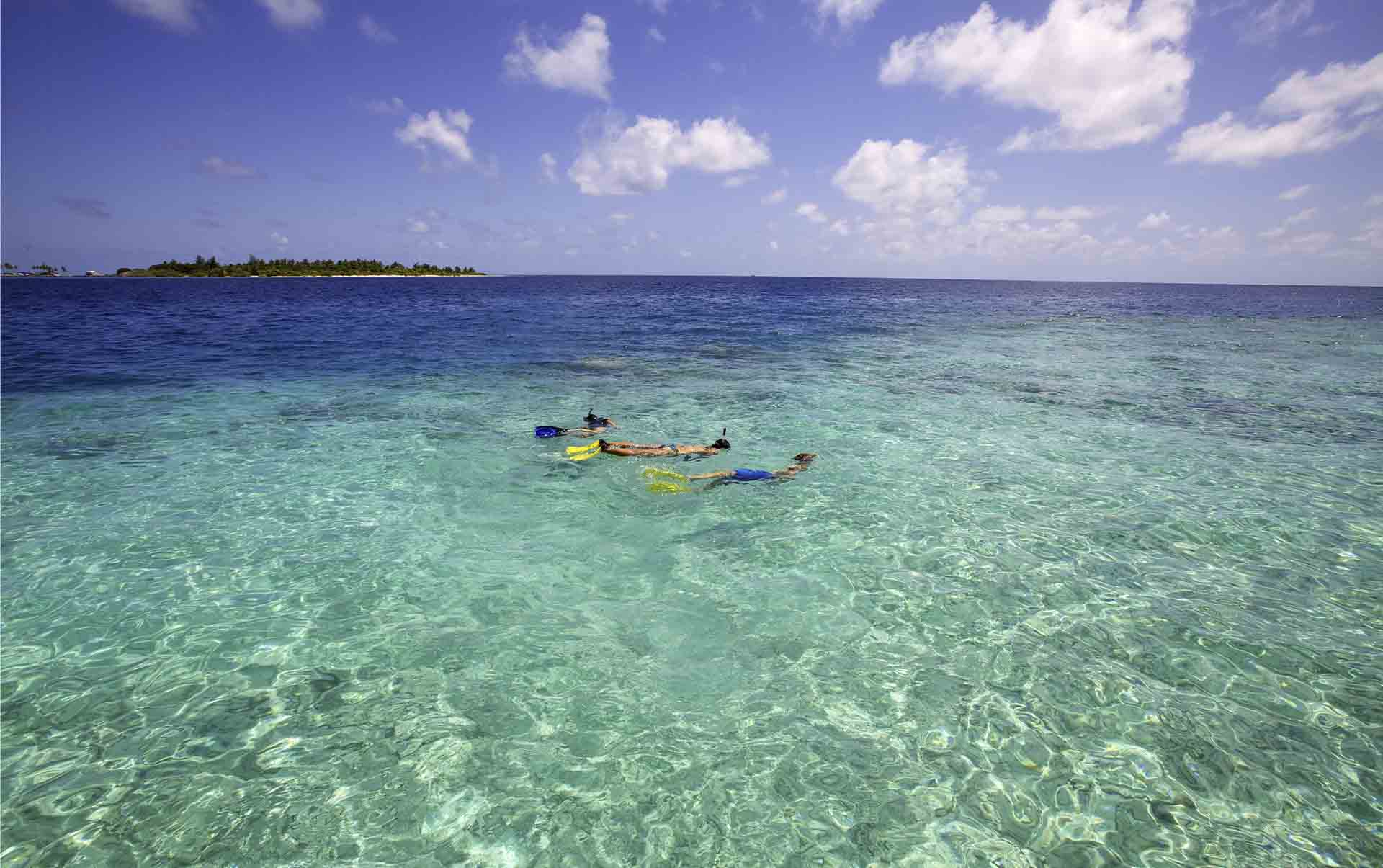 Rejser til Maldiverne, Six Senses Laamu, Snorkeling ved koralrevet 