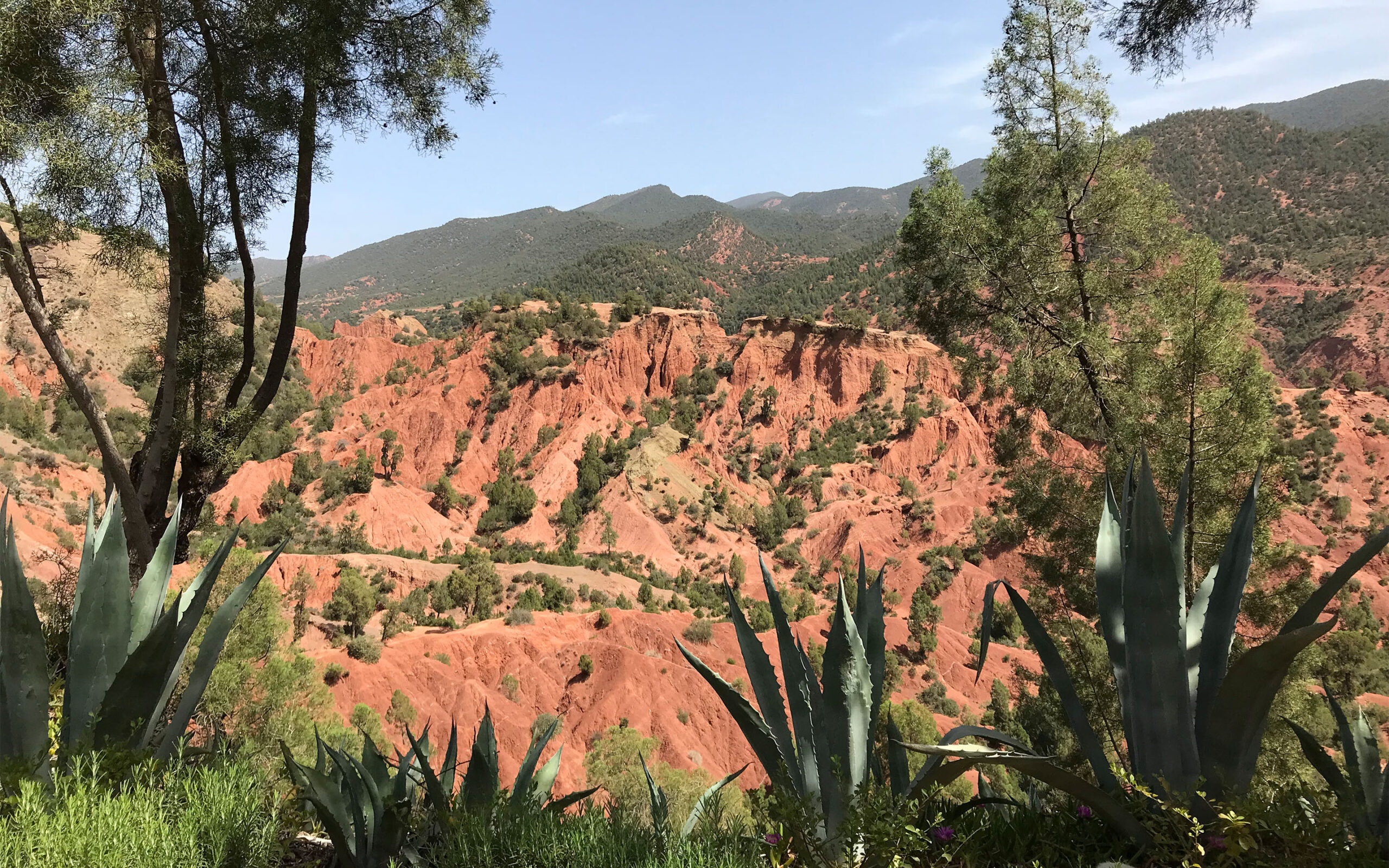 Marokko Atlas Bab Ourika Red Mountains
