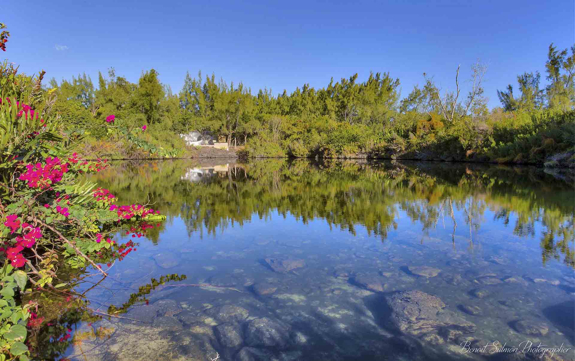 Rejser til Mauritius, Bubble Lodge Bois Ch&eacute;ri, S&oslash;en 